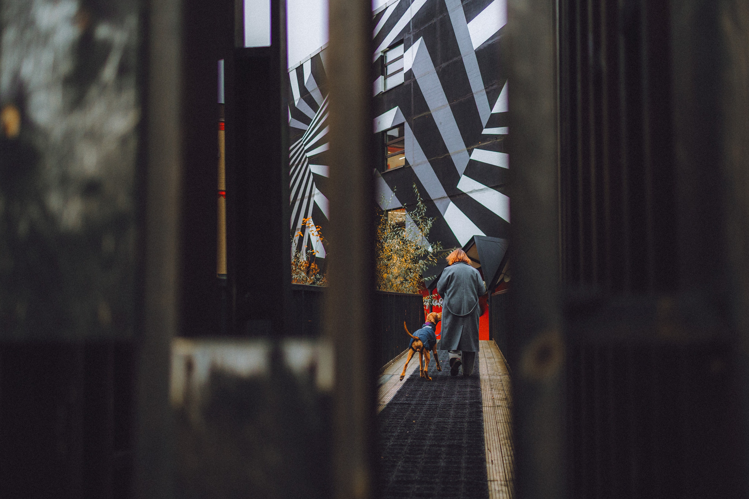 Екатерина и Даня