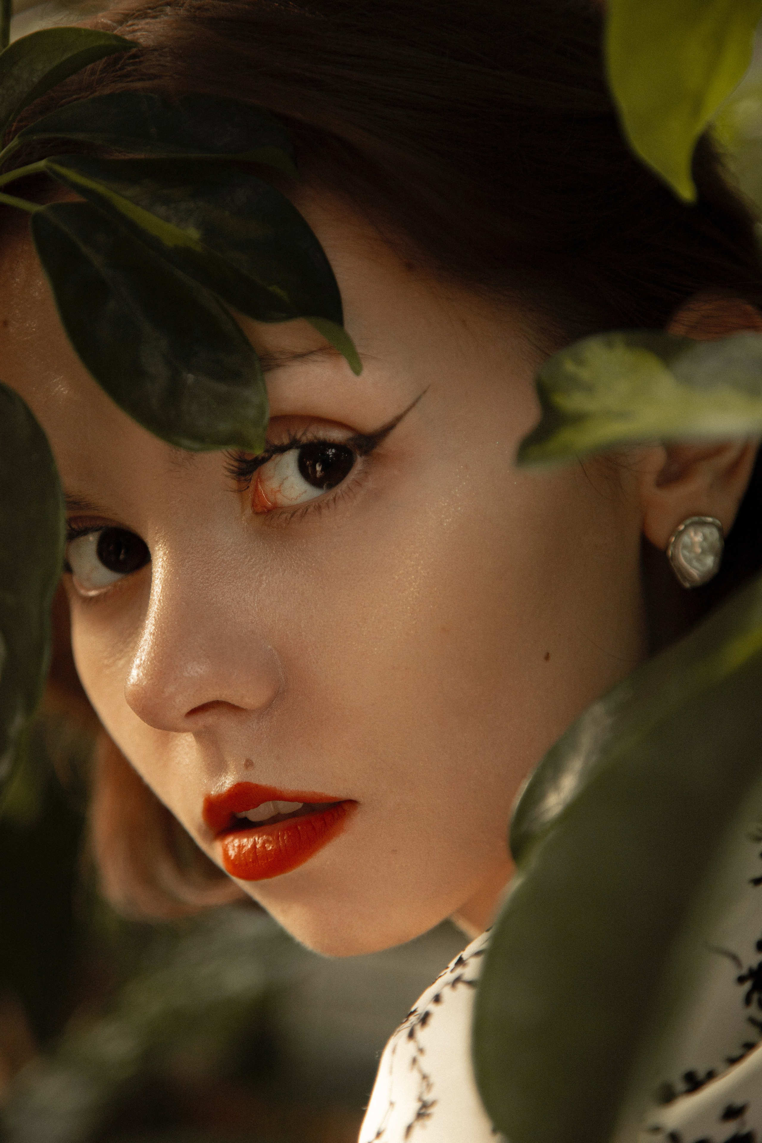 Оранжерея Таврического сада