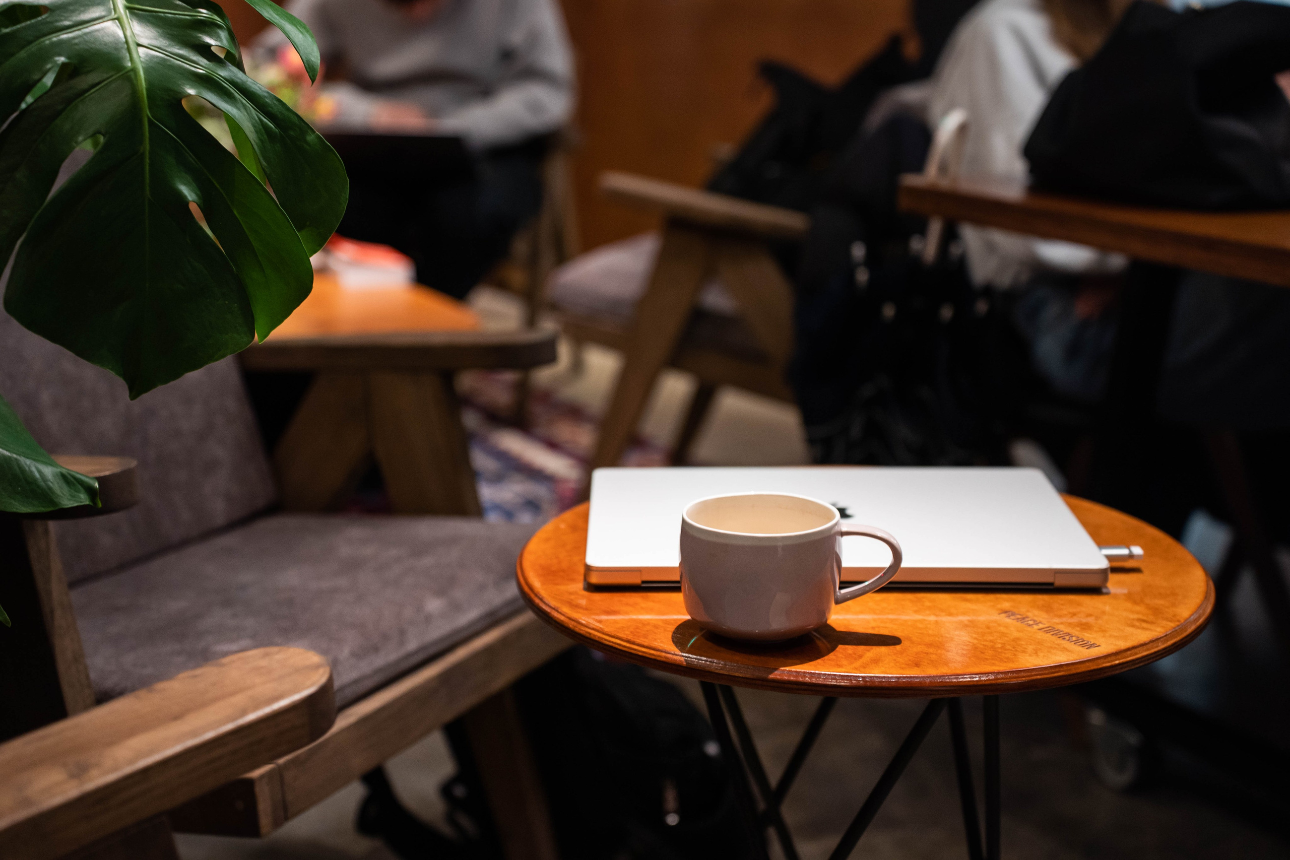 SURF COFFEE| NIGHT. Фотограф Абакумова Анастасия