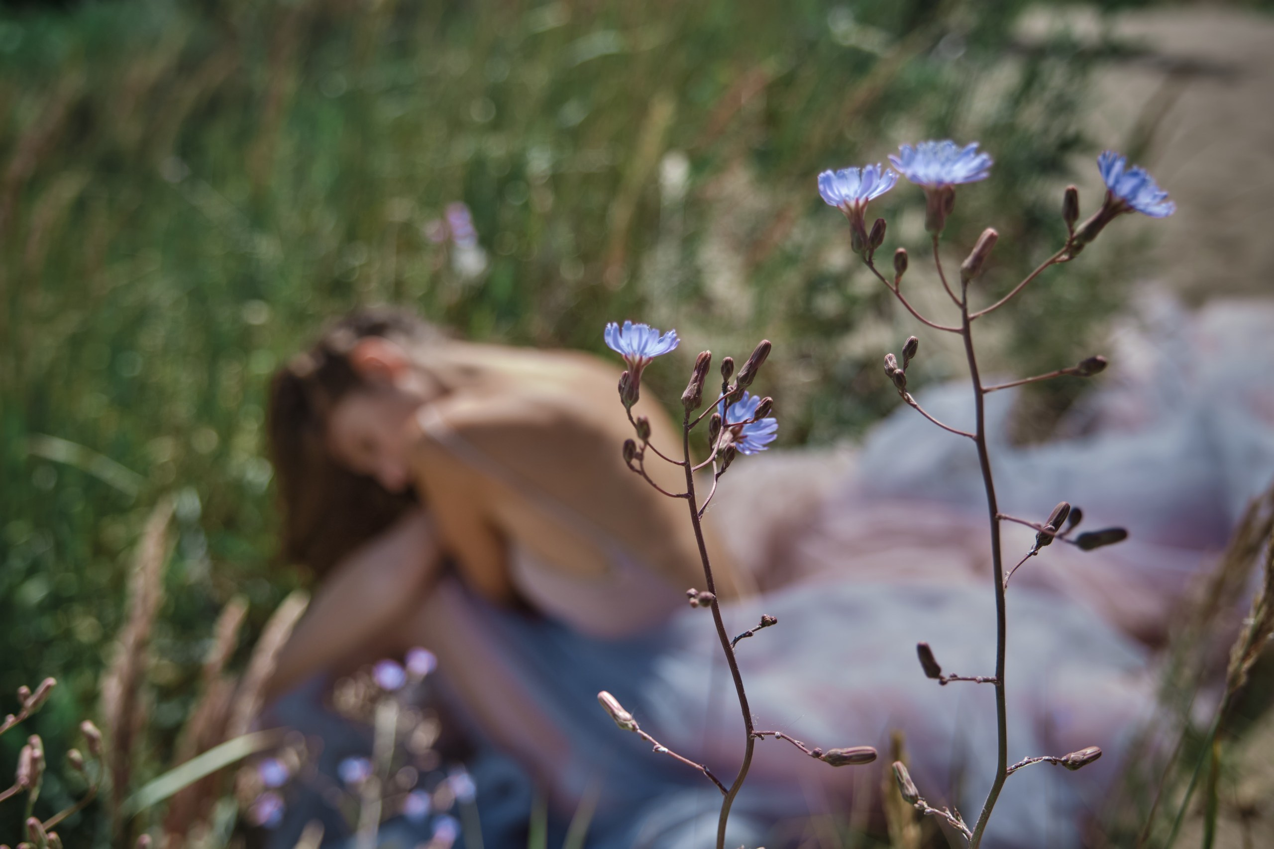 ЦВЕТОК ПУСТЫНИ. Фотограф в Самаре Татьяна Дубаносова