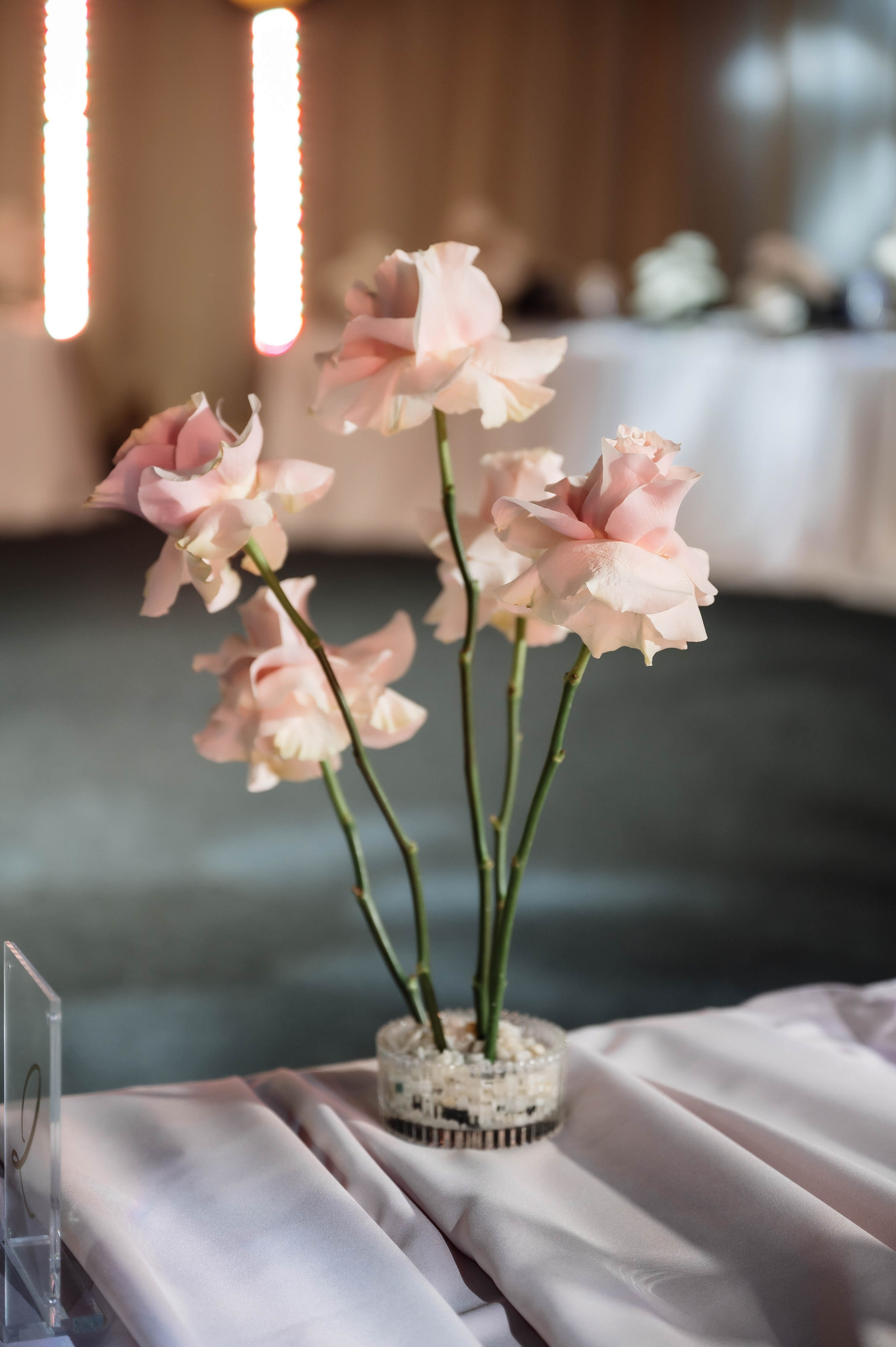 Дмитрий и Марина. Свадебный фотограф в Красноярске Маргарита Синицкая