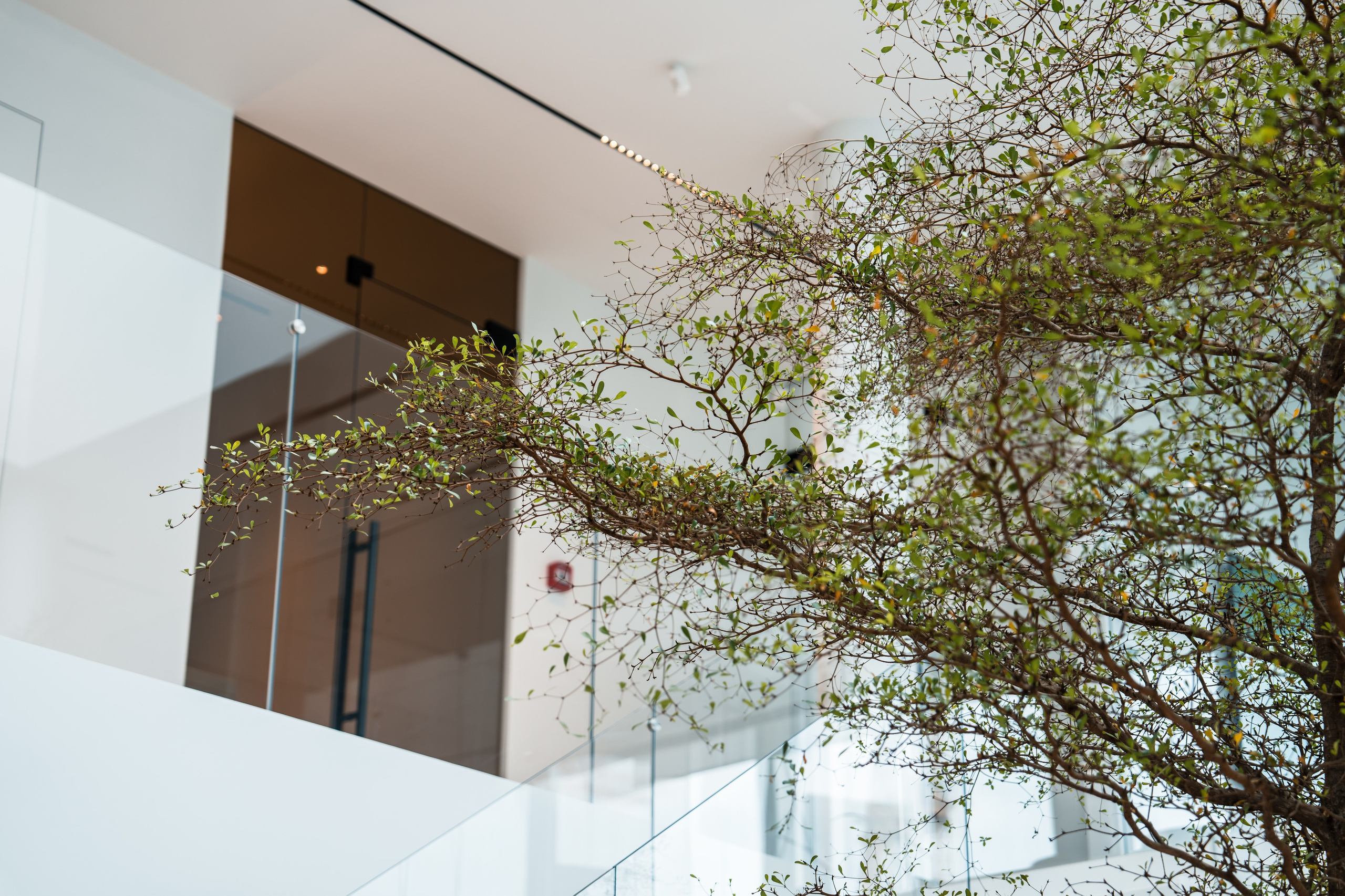 Moments, FORMA. @tomrus: Рустам Шагиморданов — фотограф