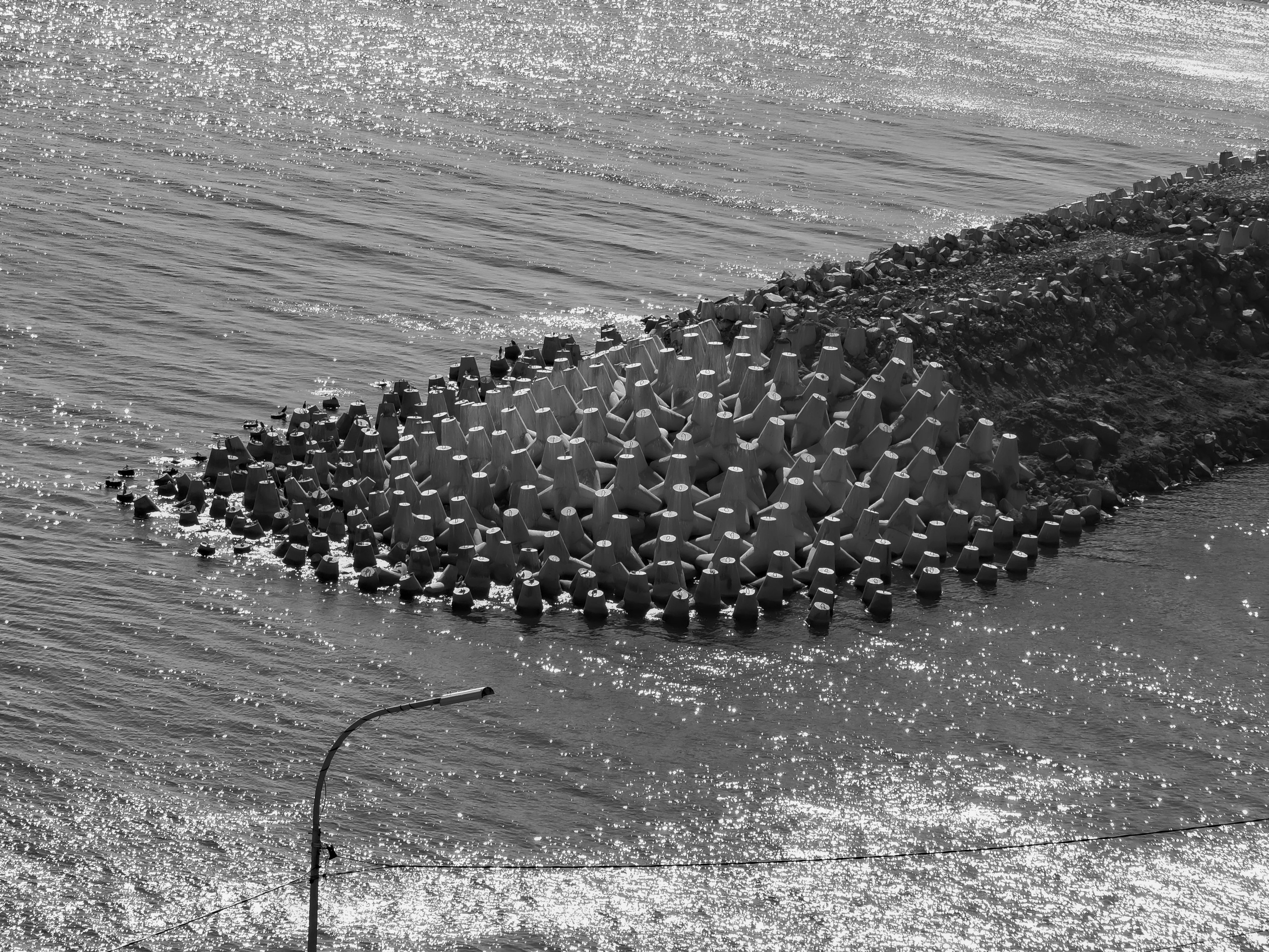 Монохром. Фотограф г. Владивосток