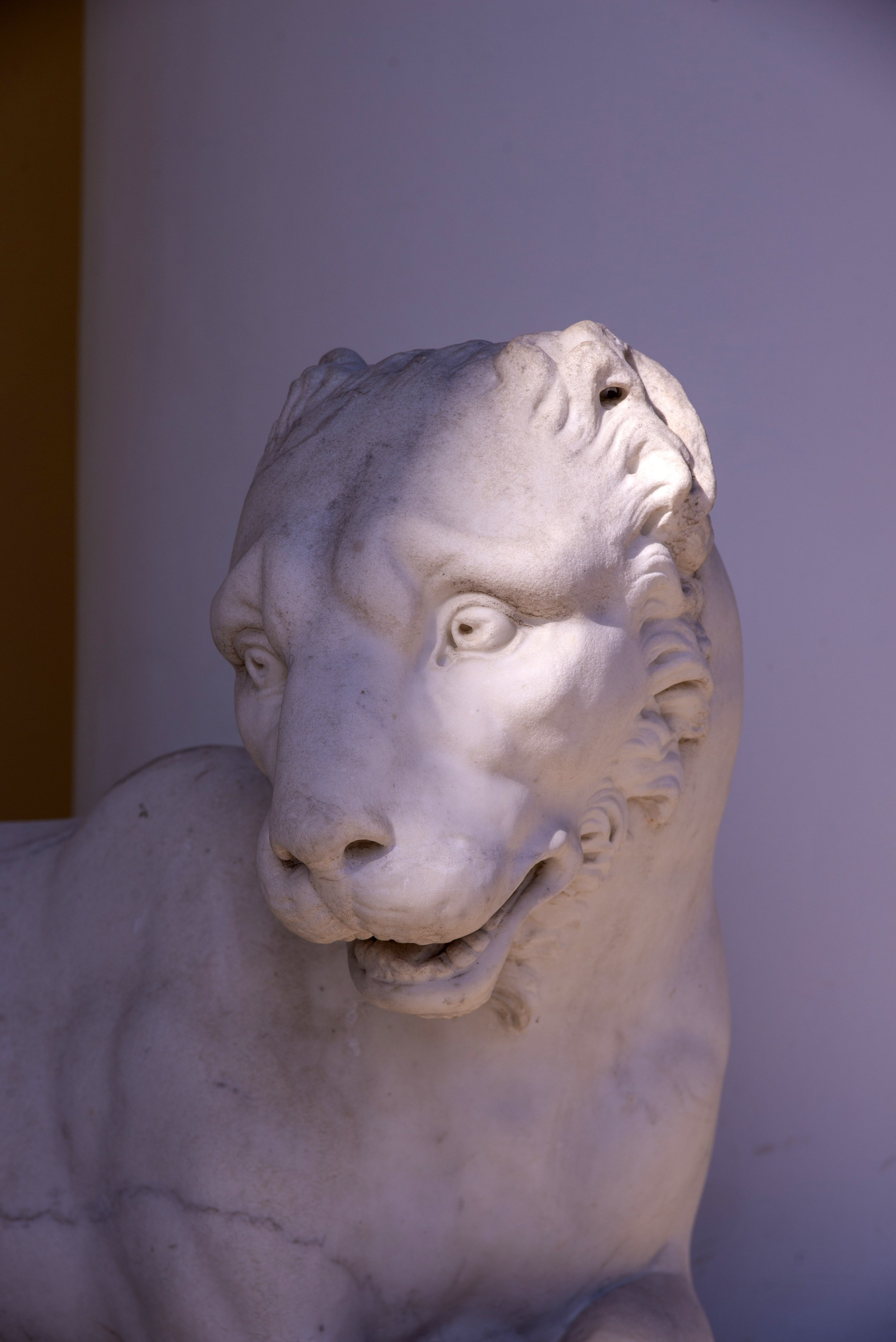 Архангельское. Сентябрь 2023. Игорь Жучков. Россия увиденная глазами путешествующего фотографа