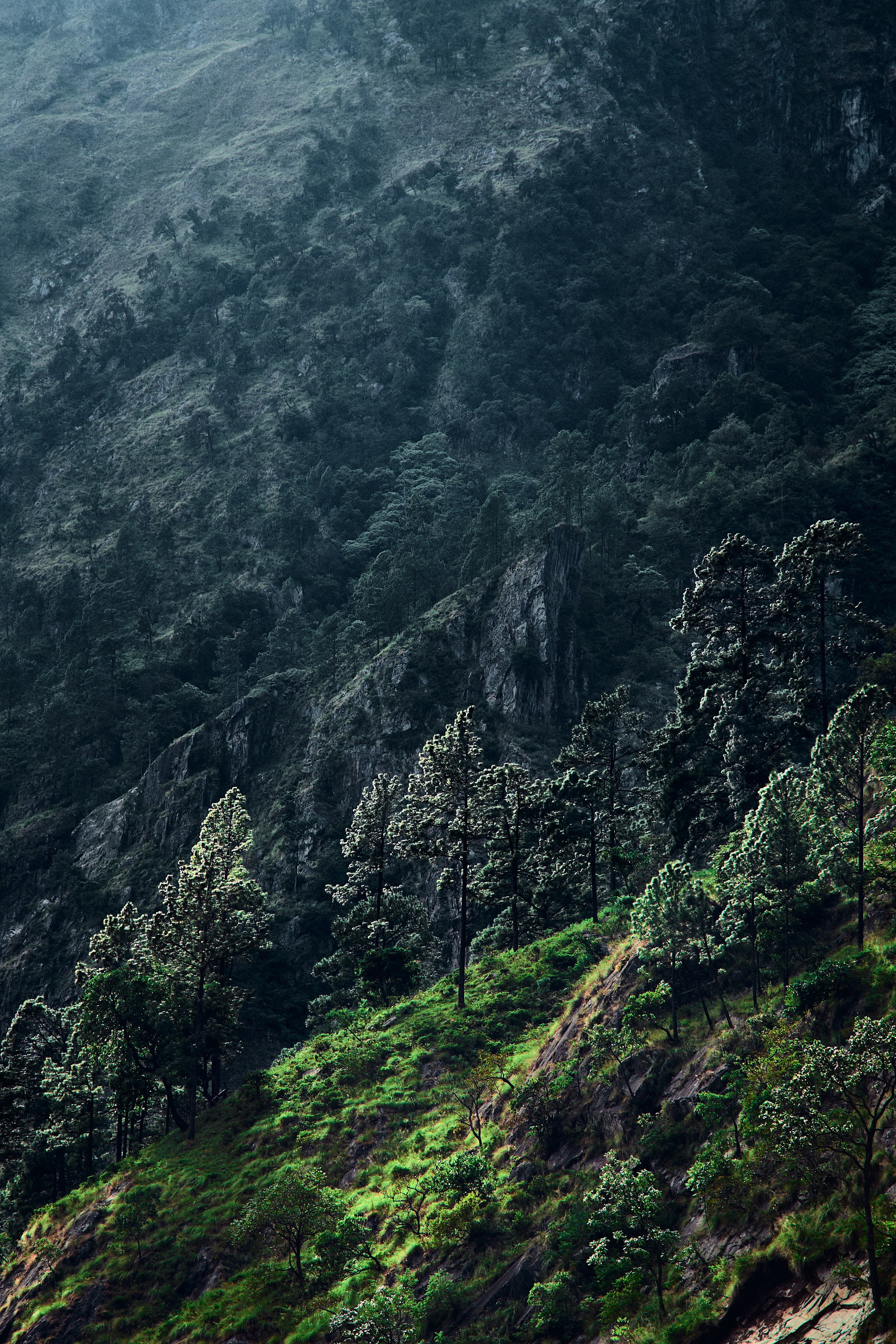 Непал. Фото