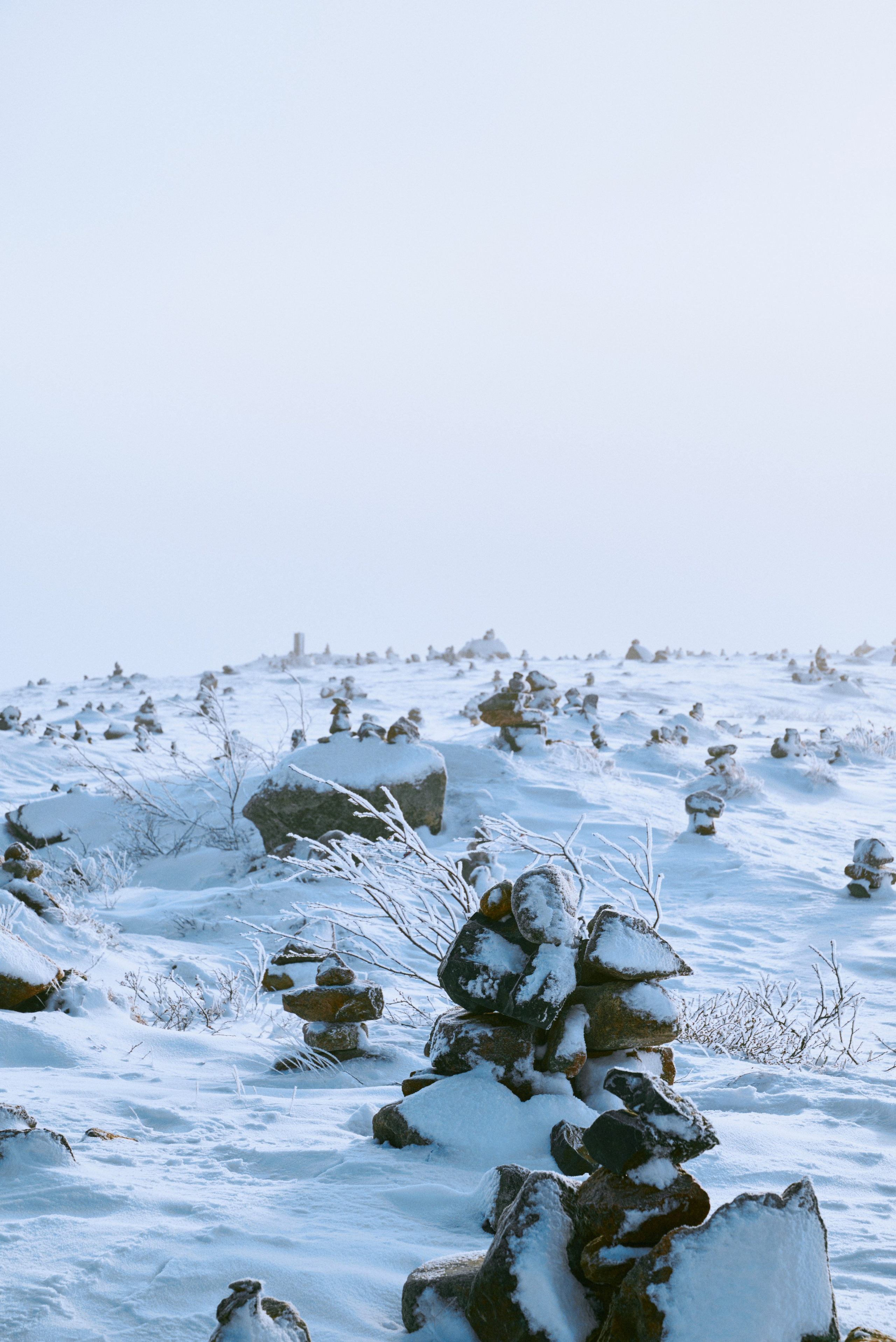 BAON x TERIBERKA. Фотограф Сурков Никита