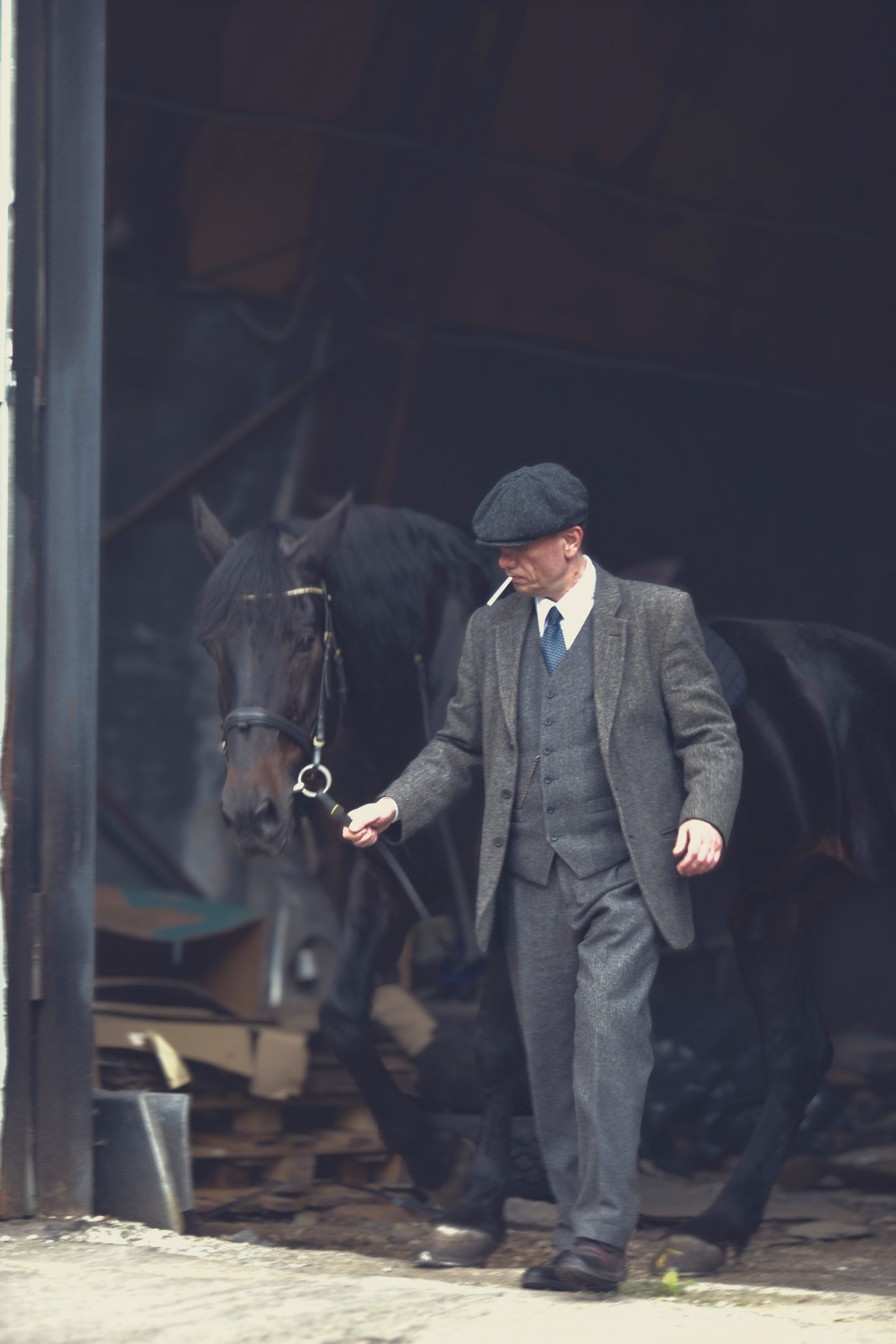 Рафаэль и Султан. Peaky Blinders. Конный фотограф Москва