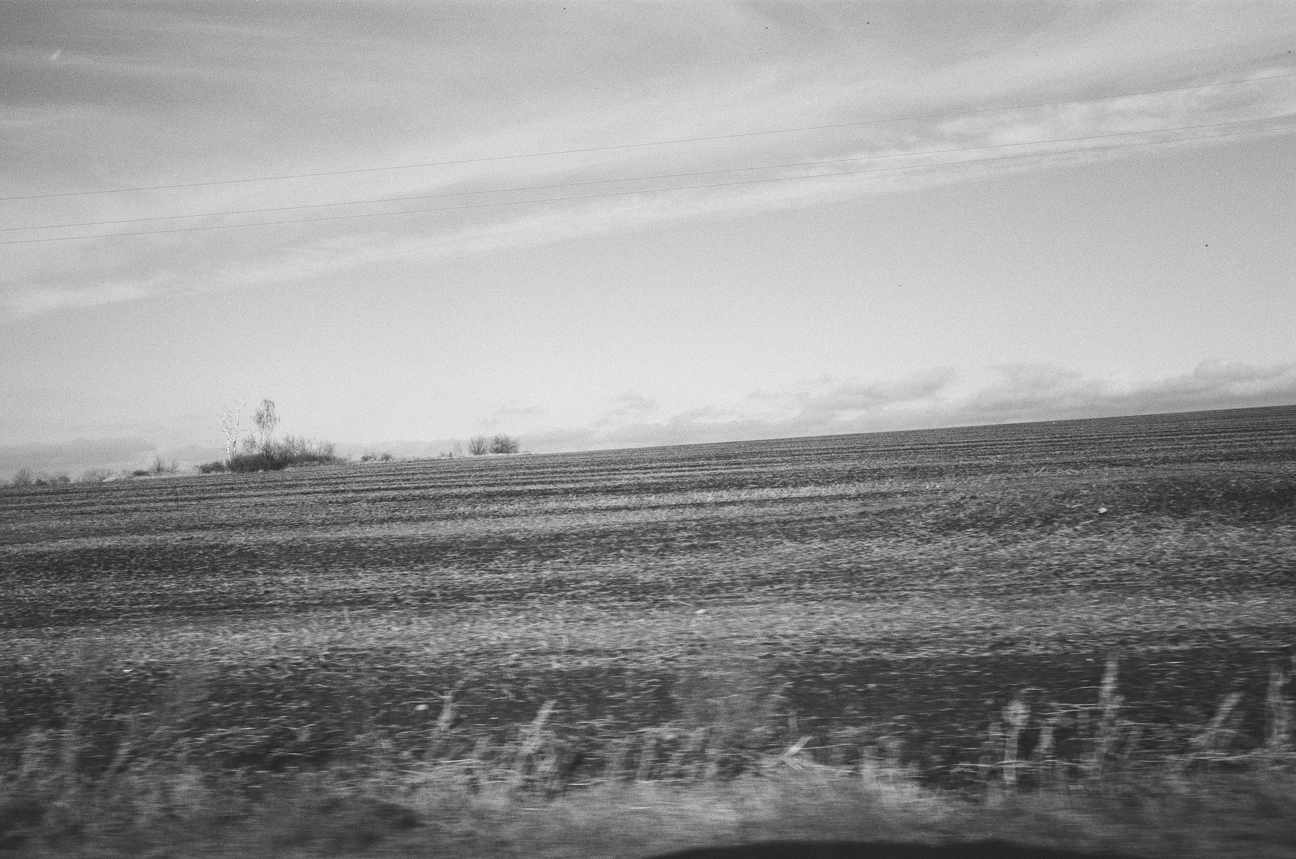 Homecoming. Dima Ievlev