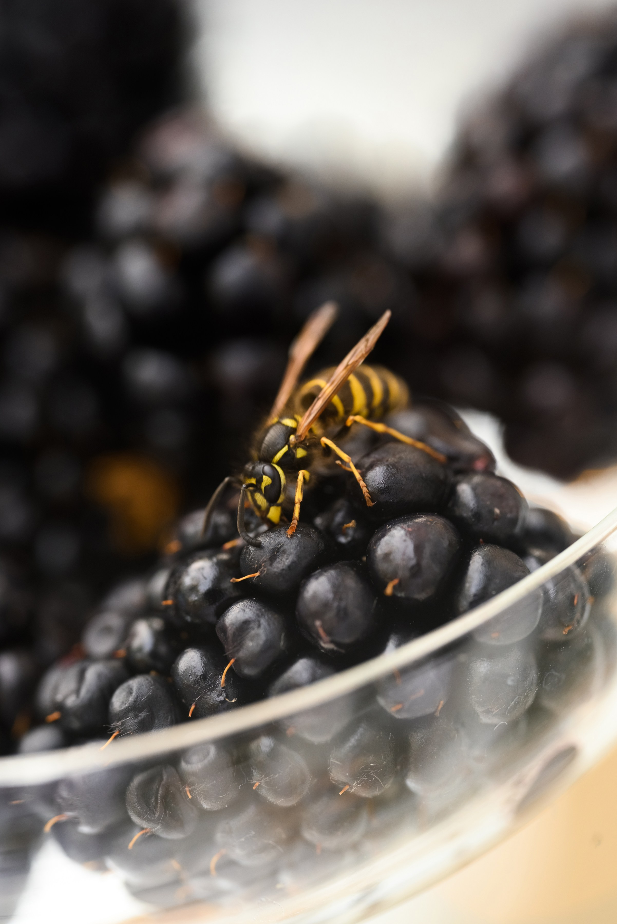 Иван и Александра. Свадебный фотограф в Москве Артём Кившарь