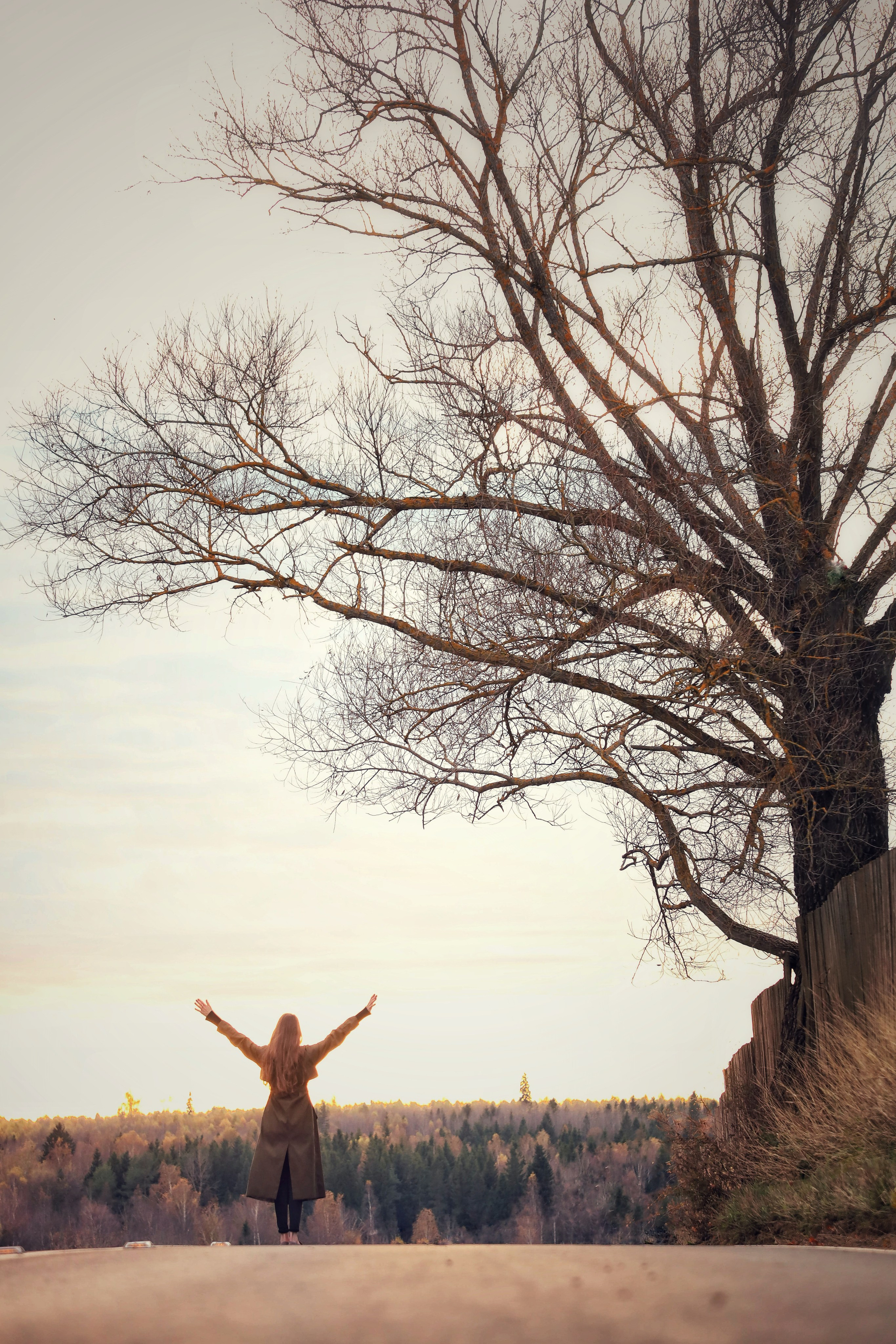 Творческий полет. Альбина Яковлева-ваш семейный фотограф