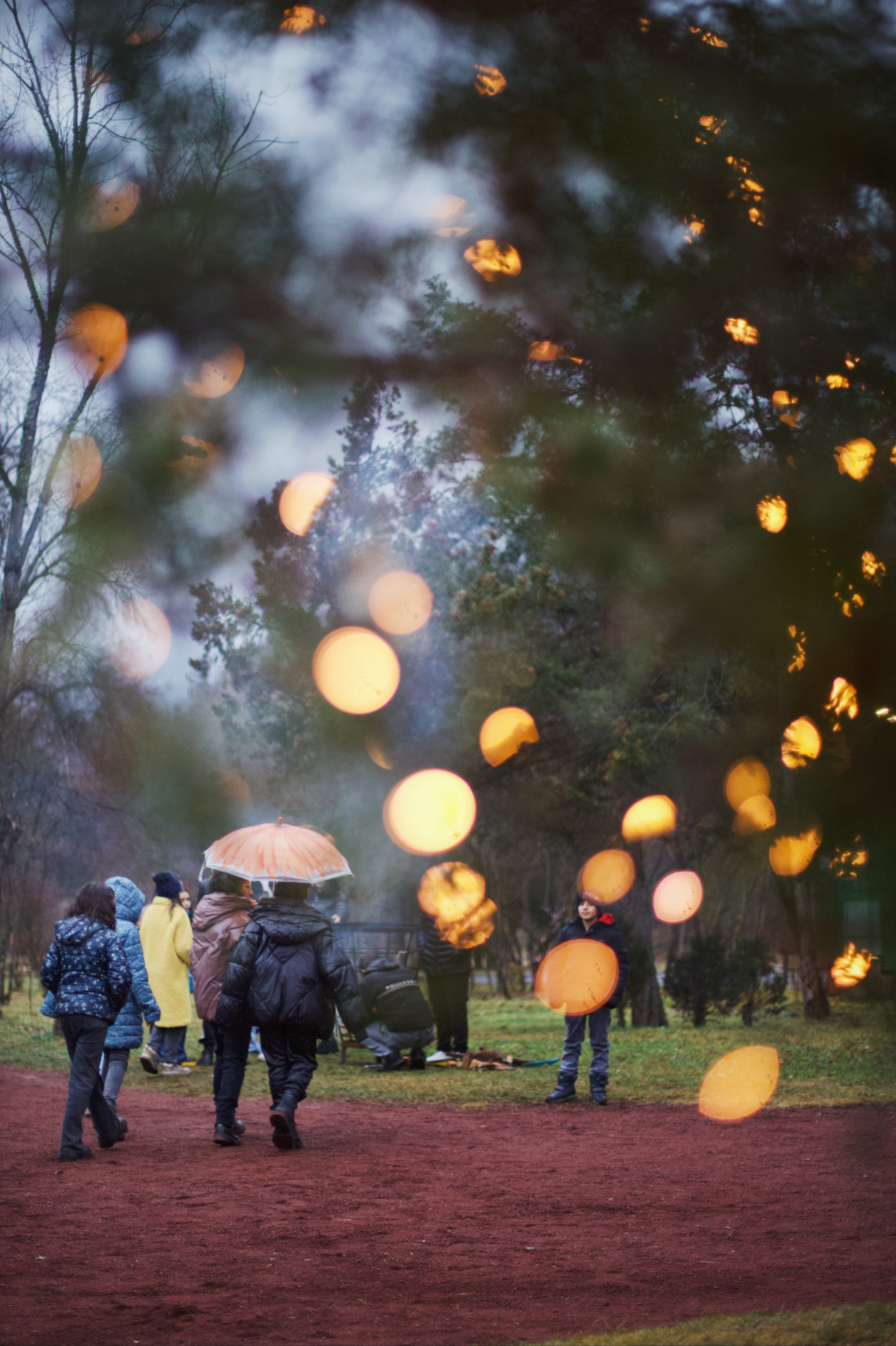 Christmas Tree opening in Dilijan city park. Фотограф в Армении Женя Гилевич