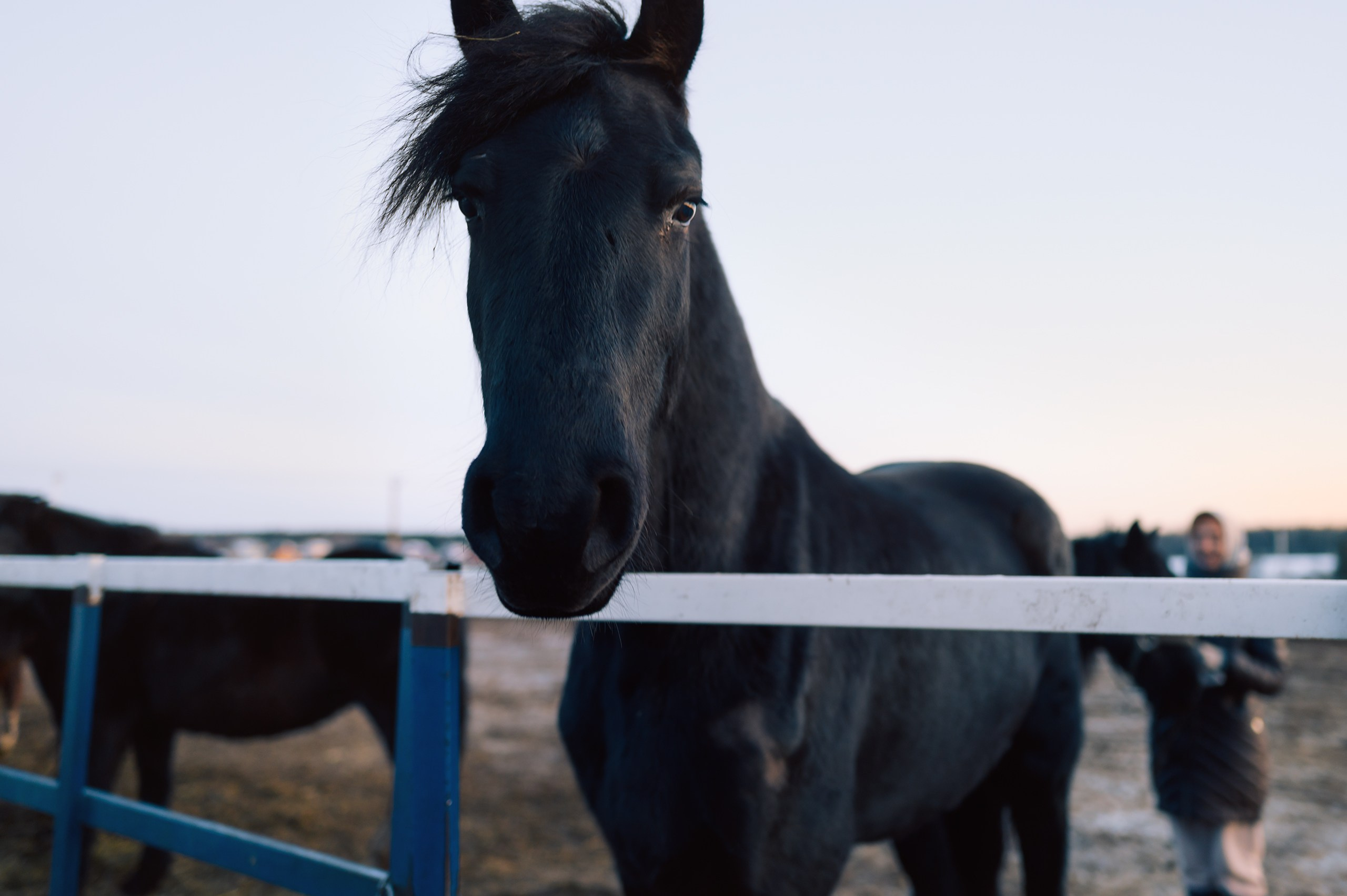 Невидимый спектр. Komonev