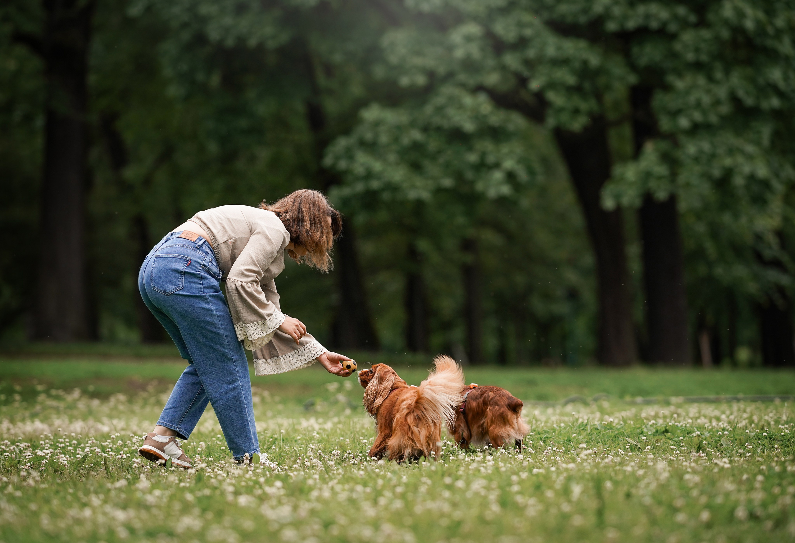Юля Володя Гарри и Верон. Фотограф-анималист в Санкт-Петербурге Яна Мартынова