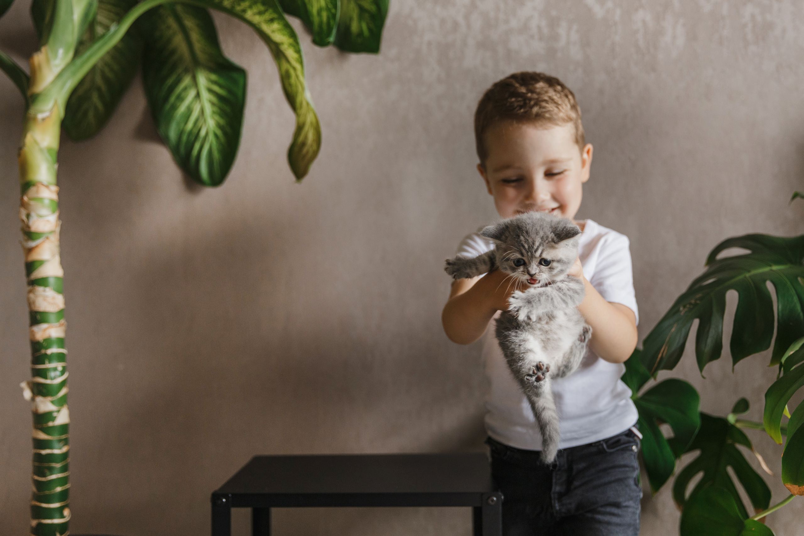 Арина, Марк и Бэтти. Свадебный и семейный фотограф Ксения Ржевская (Митрохина)