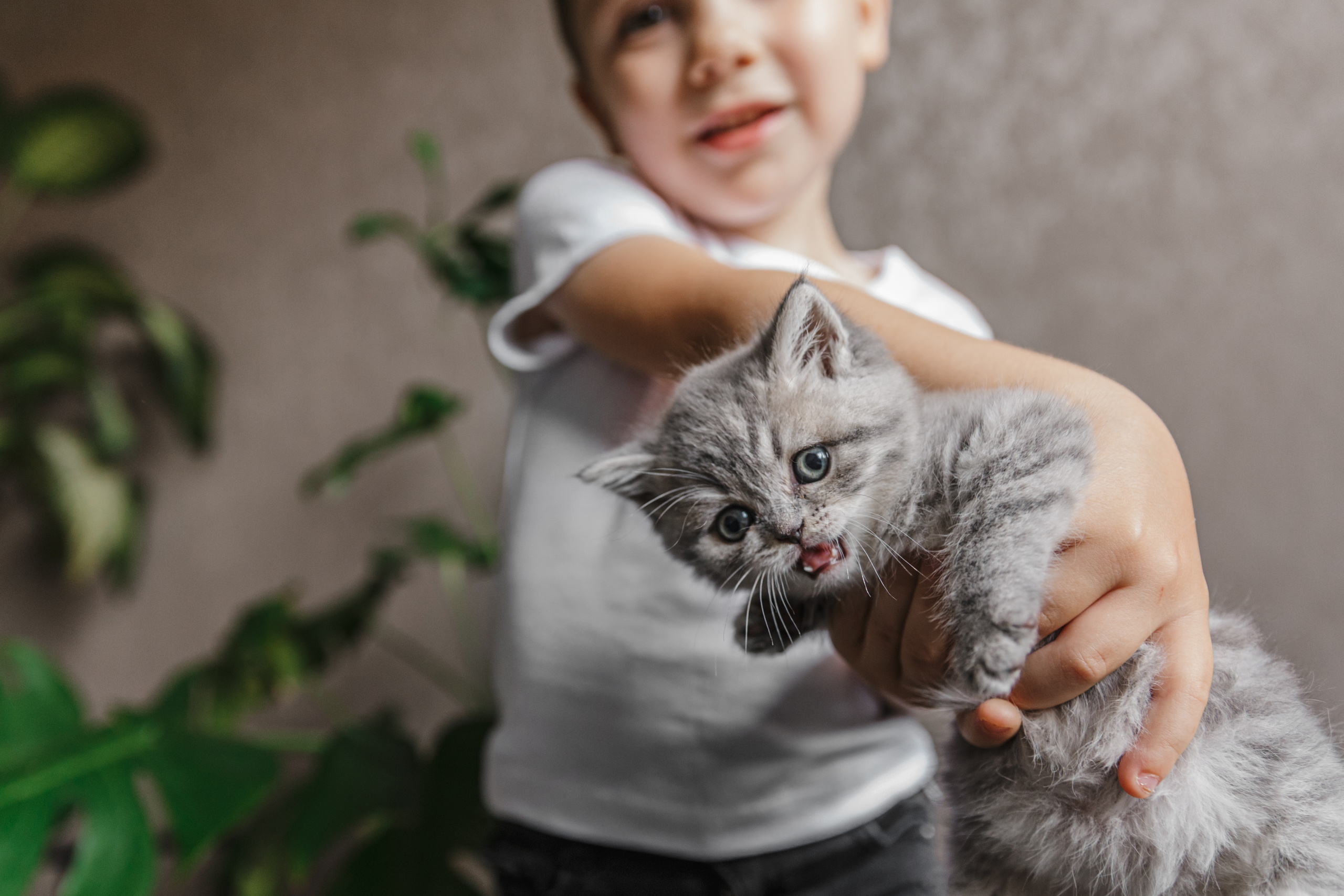 Арина, Марк и Бэтти. Свадебный и семейный фотограф Ксения Ржевская (Митрохина)