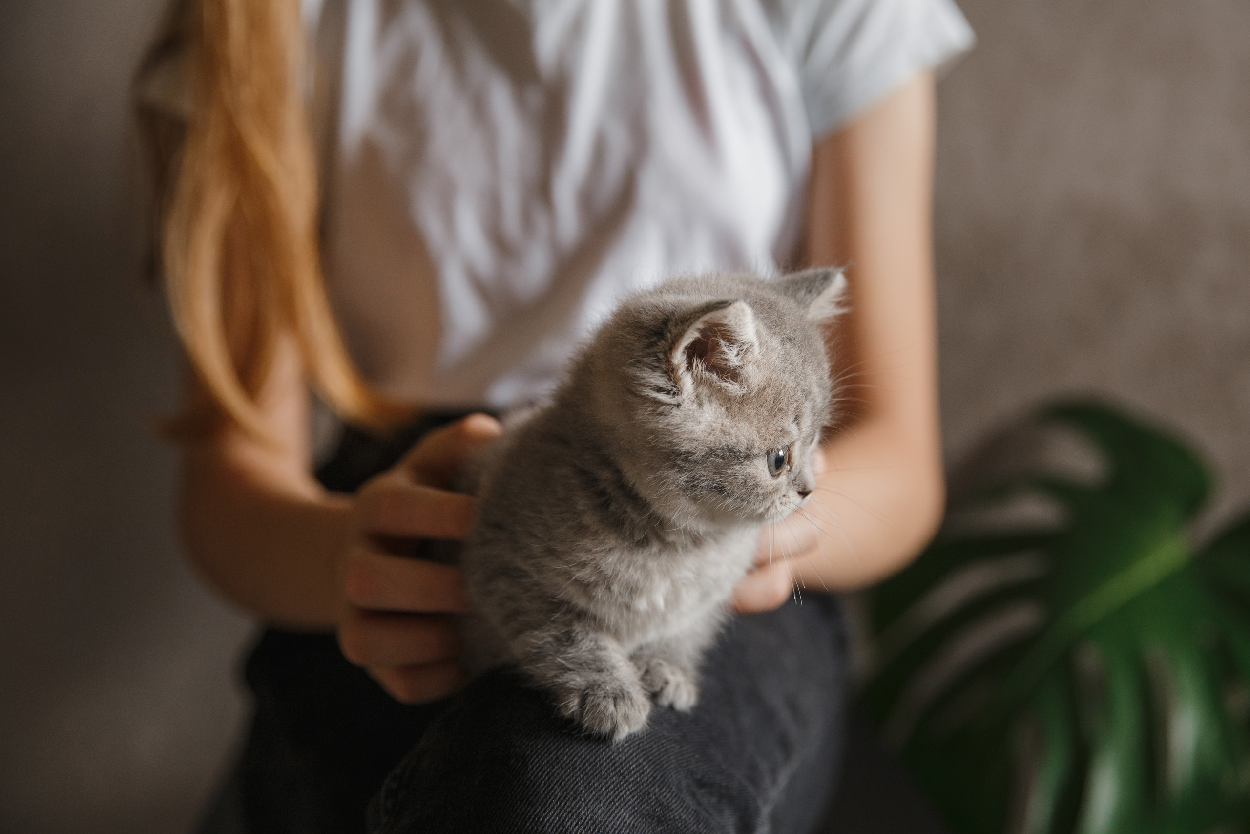 Арина, Марк и Бэтти. Свадебный и семейный фотограф Ксения Ржевская (Митрохина)