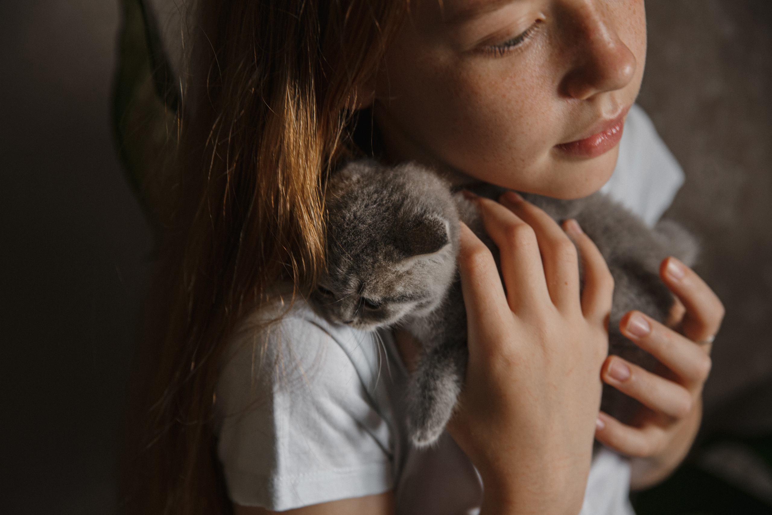 Арина, Марк и Бэтти. Свадебный и семейный фотограф Ксения Ржевская (Митрохина)