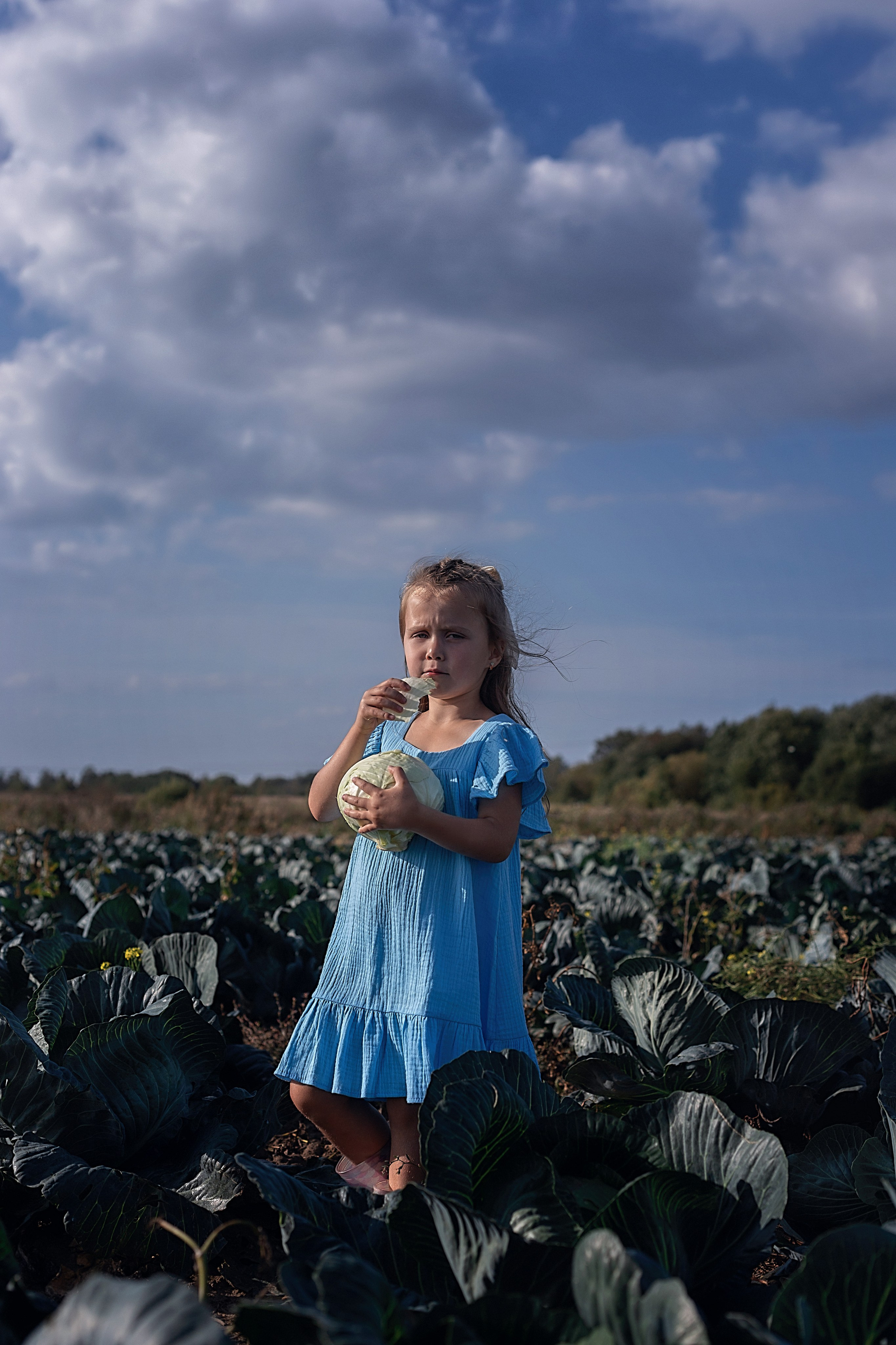 Капустное поле_Ленинградская область. Семейный фотограф в Санкт-Петербурге