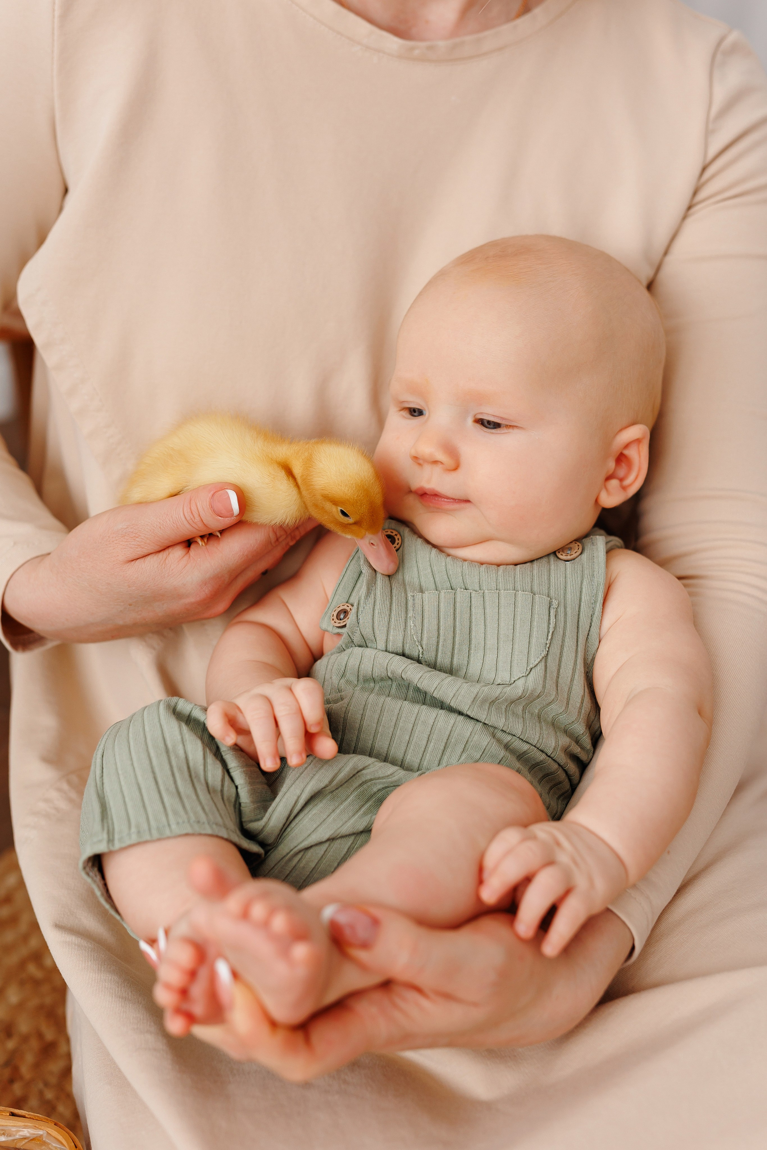 Семьи студия. Профессиональная детская и семейная фотостудия в Краснодаре