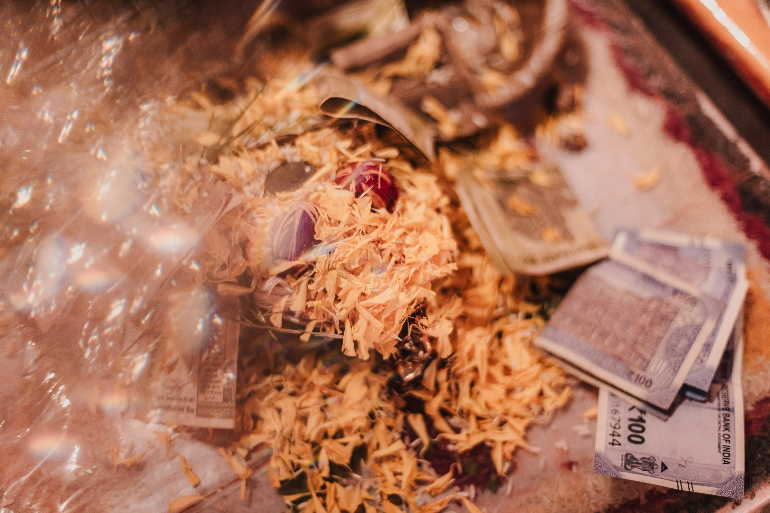 Lakshmi pooja in India. Mariam Bagdasaryan