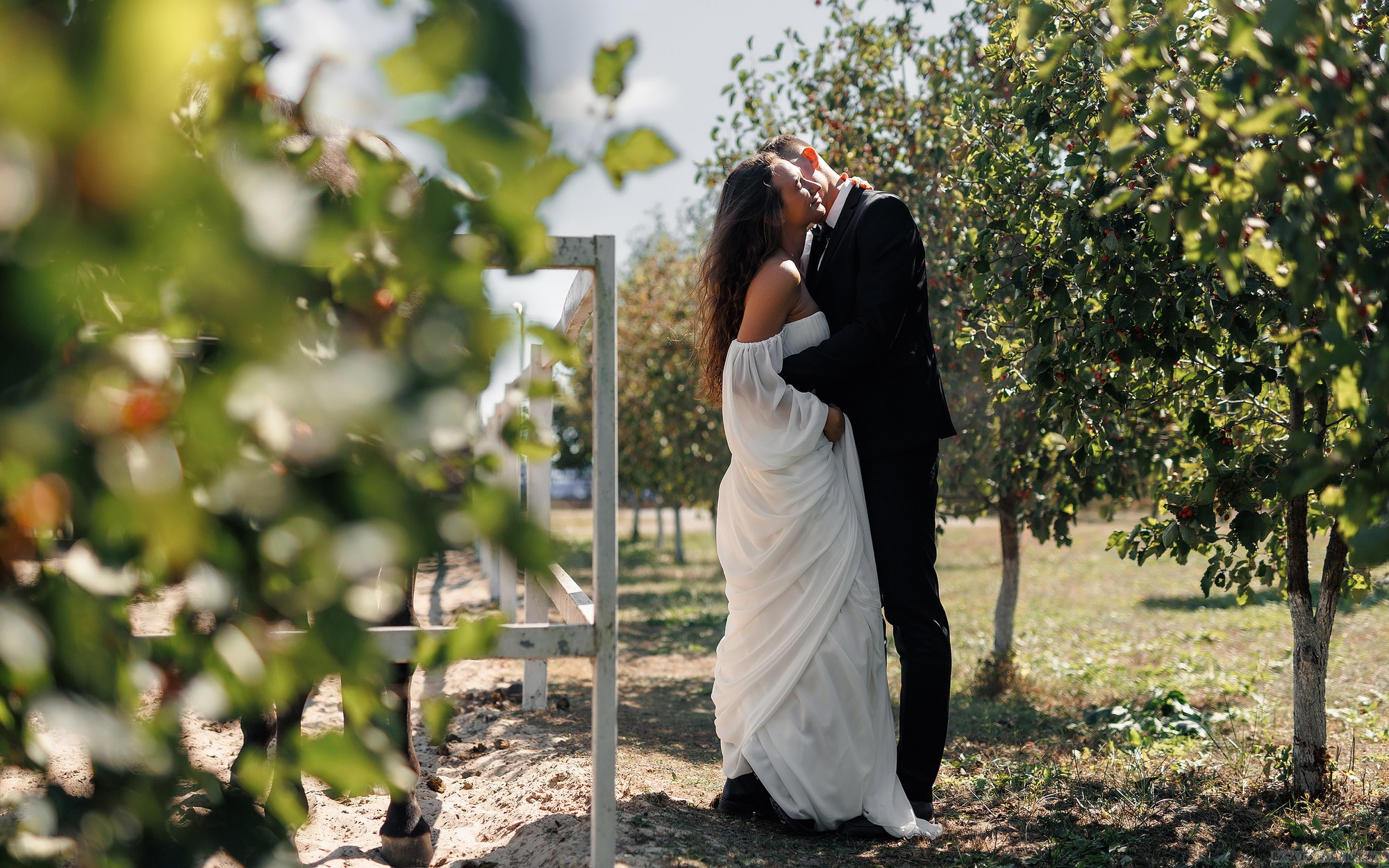 Виктория и Илья. Свадебная фотосъёмка в Брянске | Влад и Ирина Тютьковы