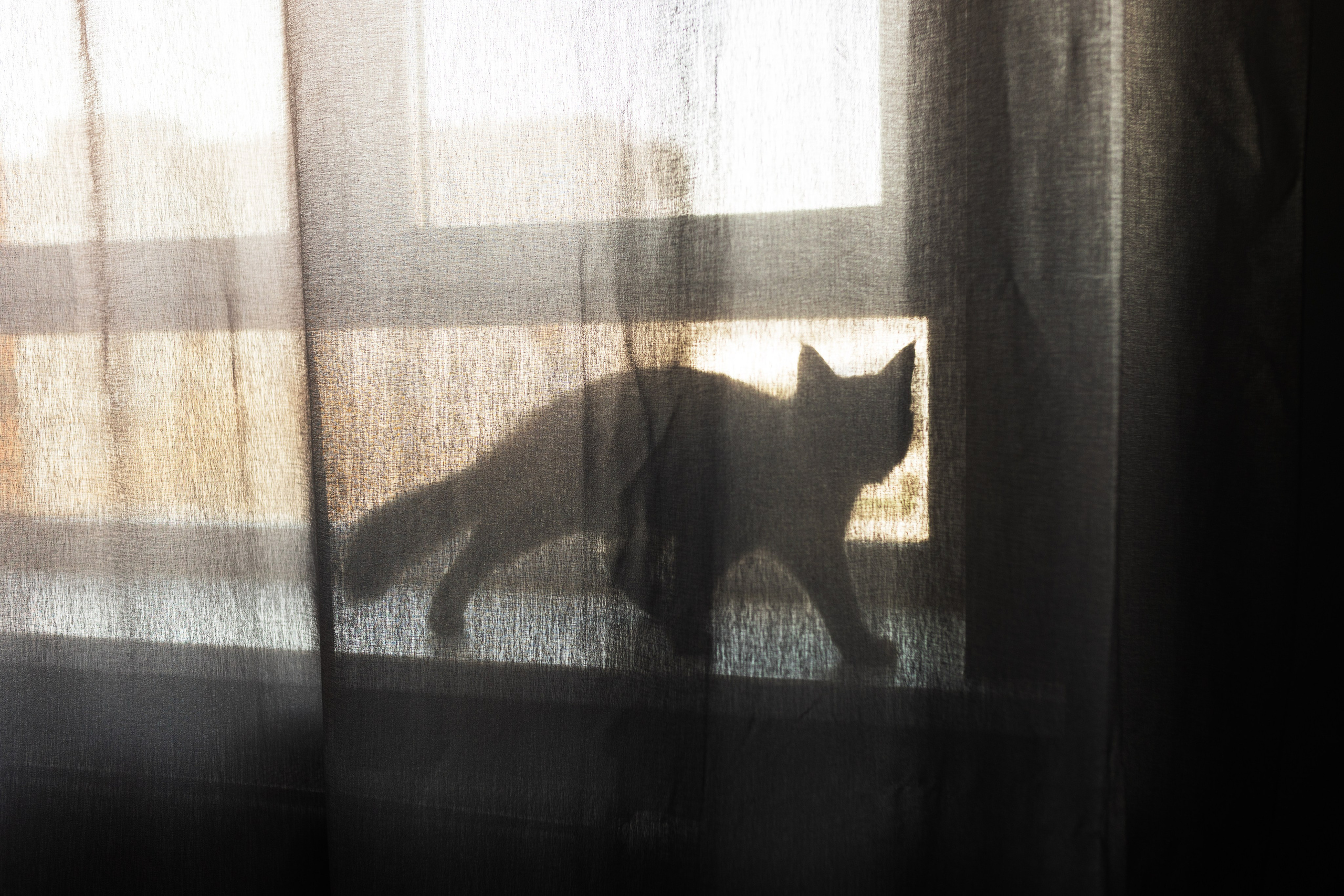 Алена, Владимир и Миша. Фотограф Алина Кучумова