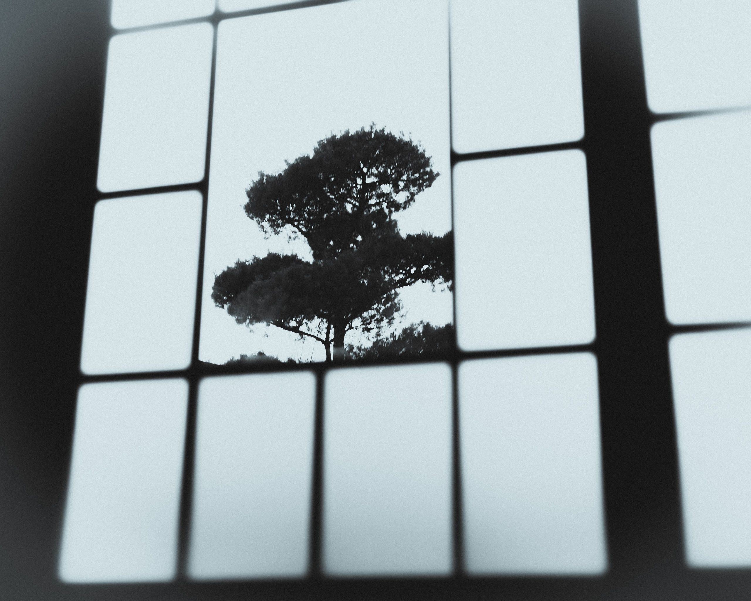 Silence. Главная