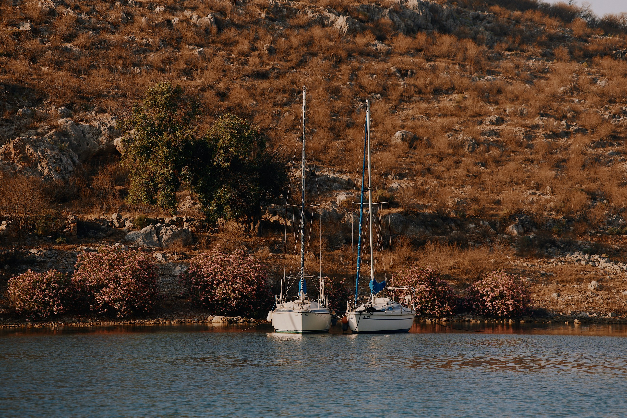 Practicum Business Regatta 2025 Турция. Фотограф в Челябинске — Дмитрий Носов