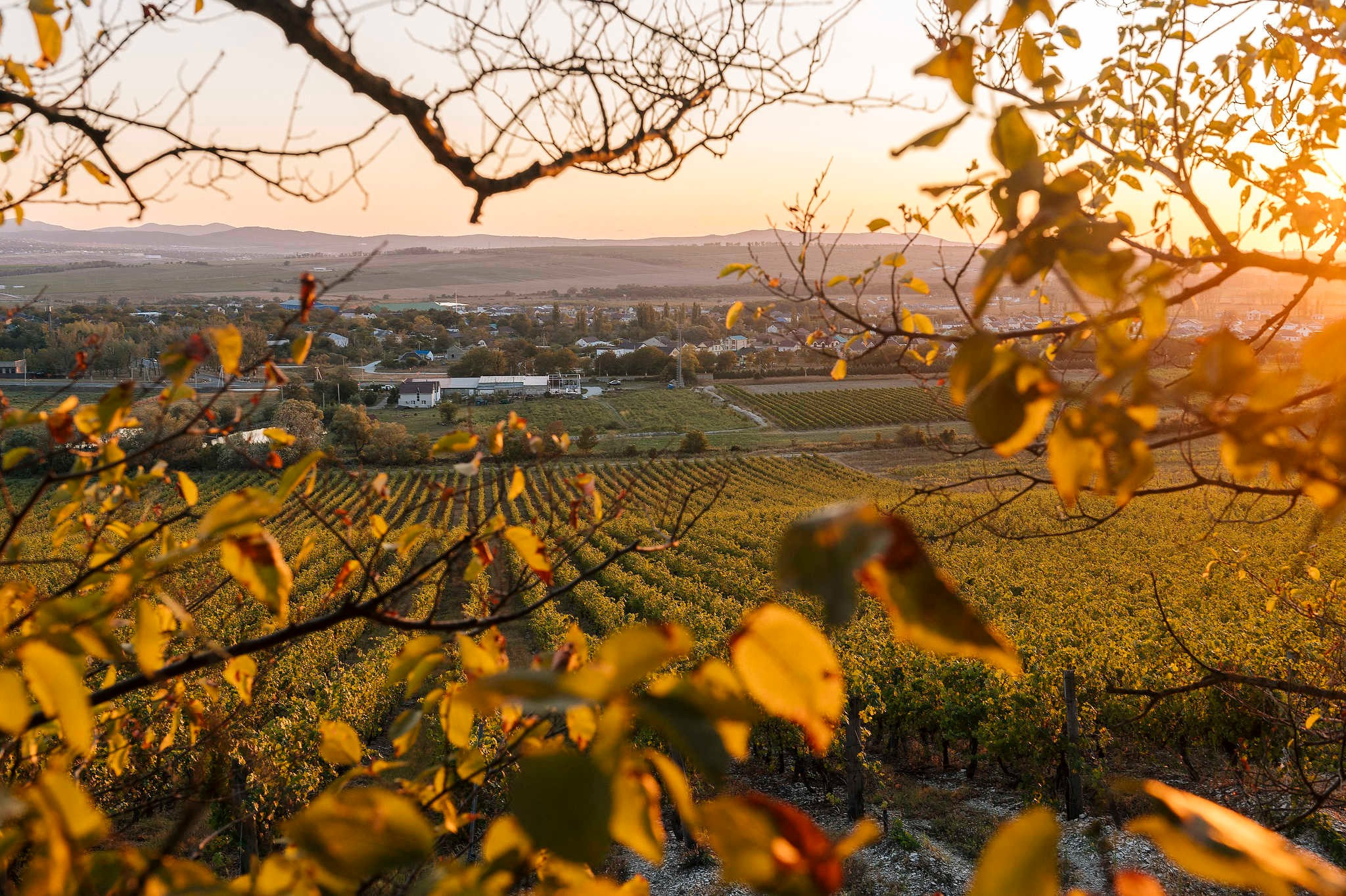 Съемка архитектуры. Фотограф Михаил Мордасов, Сочи. Мероприятия, портреты, спорт, репортаж