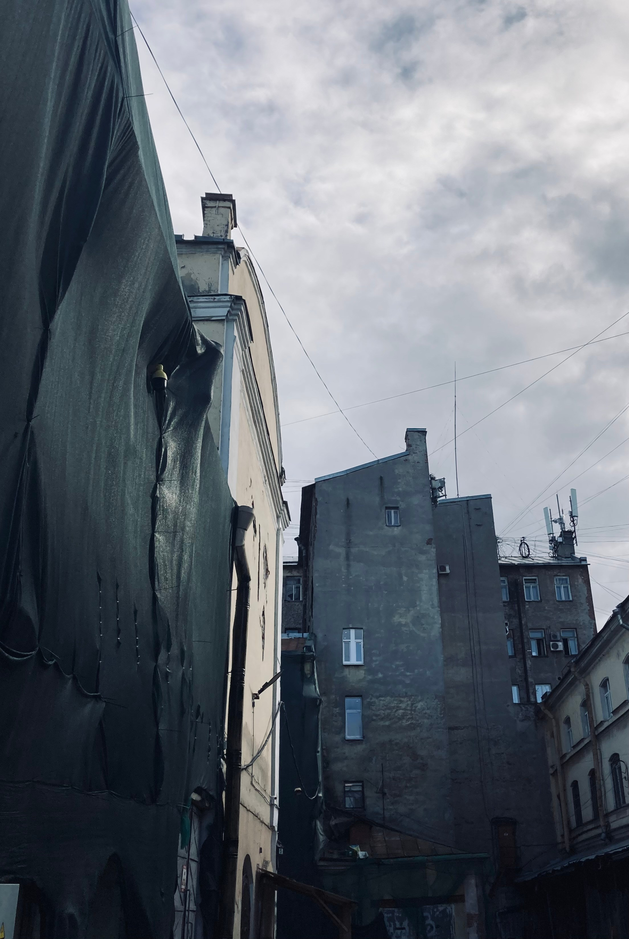 Уличный. Фотограф Арсений Королев