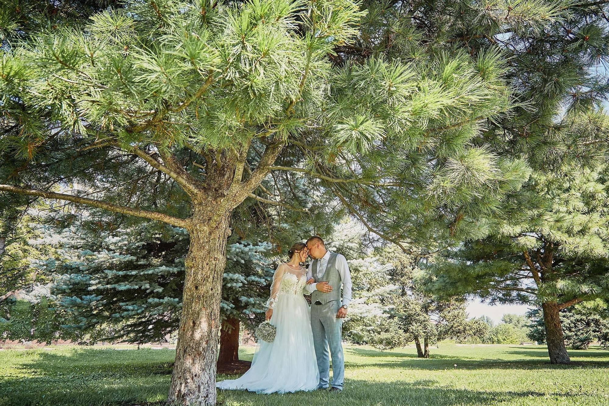 Никита и Валерия. Свадебный фотограф в Самаре — Дмитрий Емец