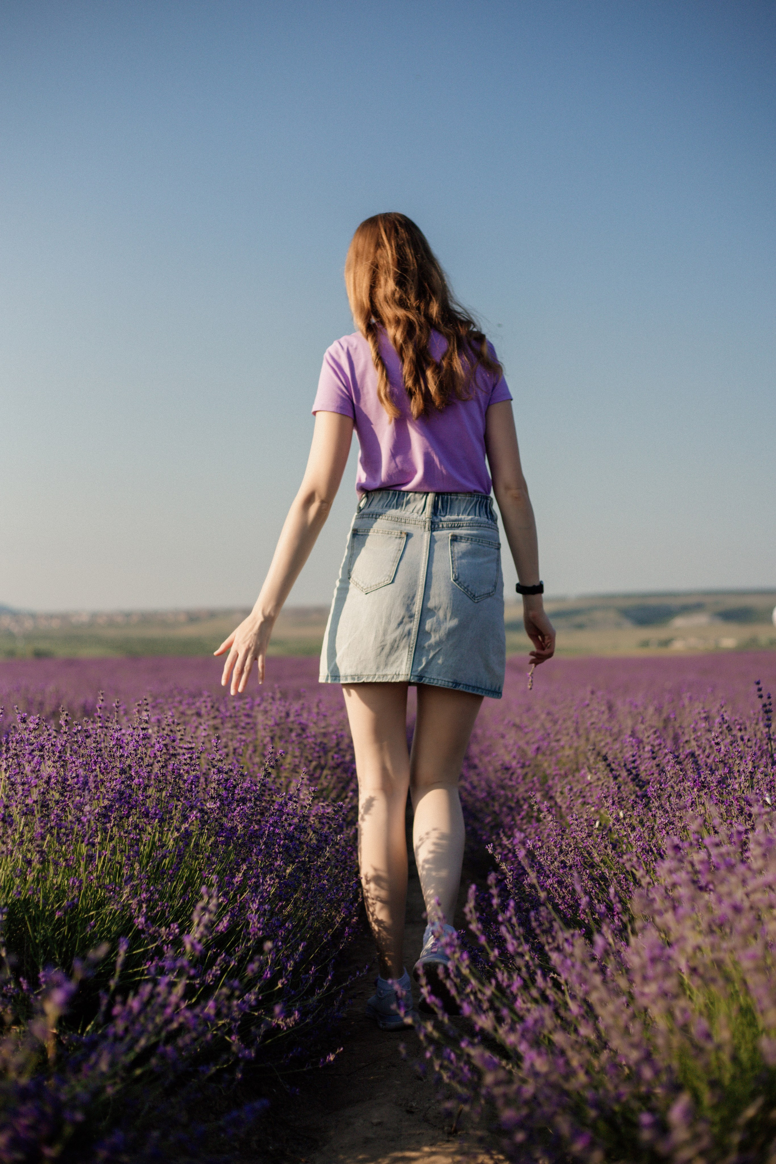 Лаванда. Фотограф и Видеограф Севастополь Крым