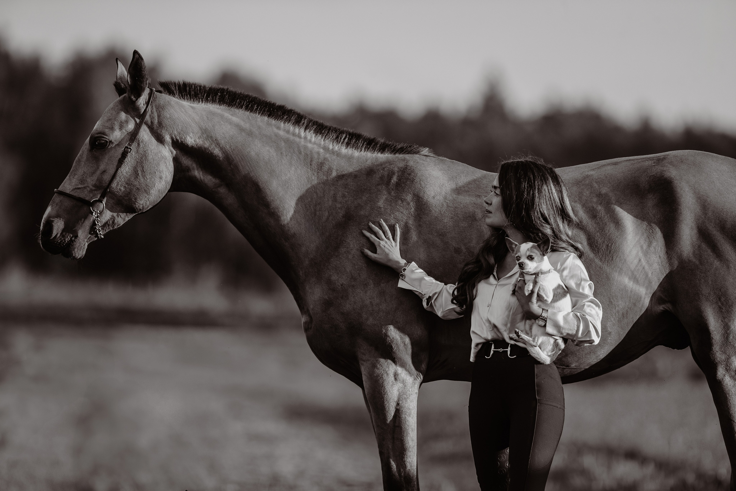 Лена и Персей. Фотограф-анималист Ксендзова Кристина