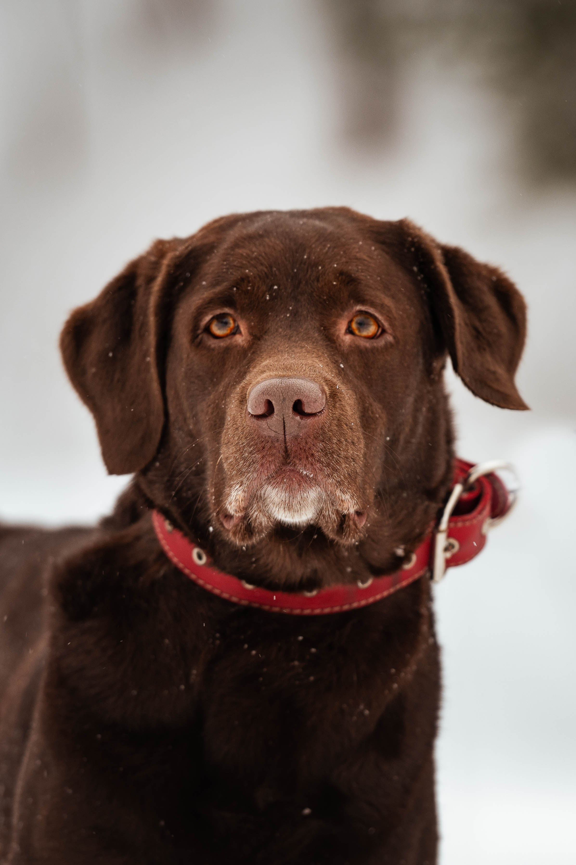Прогулка на Лыткаринском карьере. Фотограф-анималист