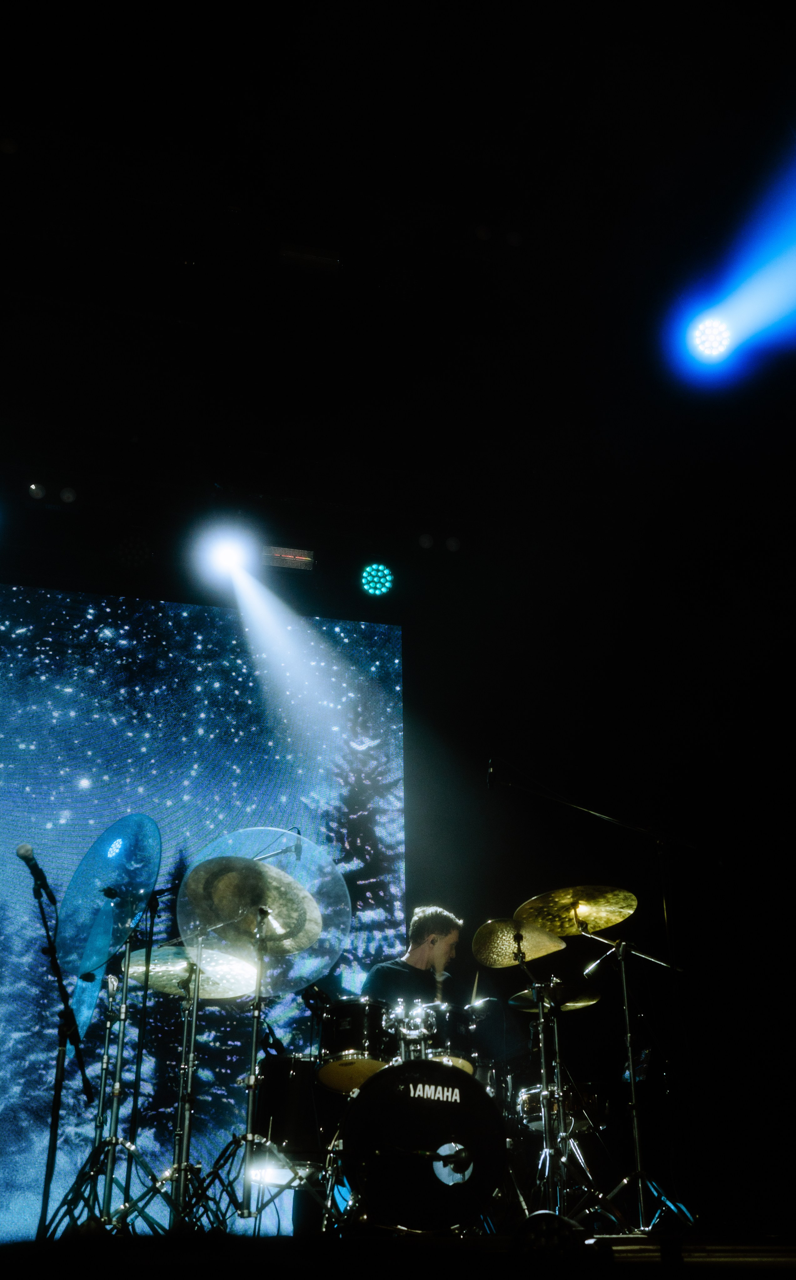 Ваня Дмитриенко. Свадебный фотограф в Санкт-Петербурге Марина Фесенко