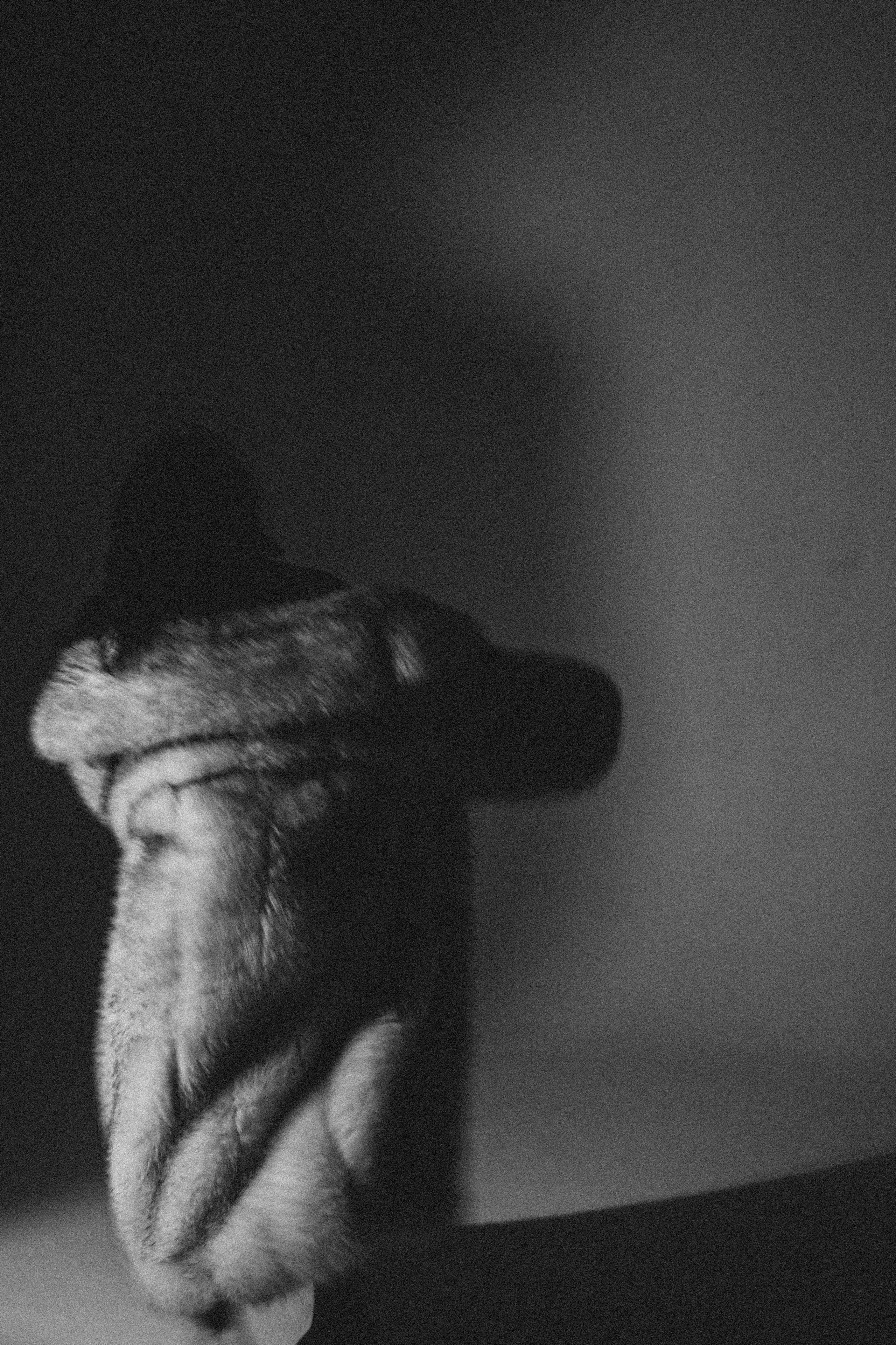 История ко дню рождения. Профессиональный фотограф, Санкт-Петербург — Виктория Богомолова