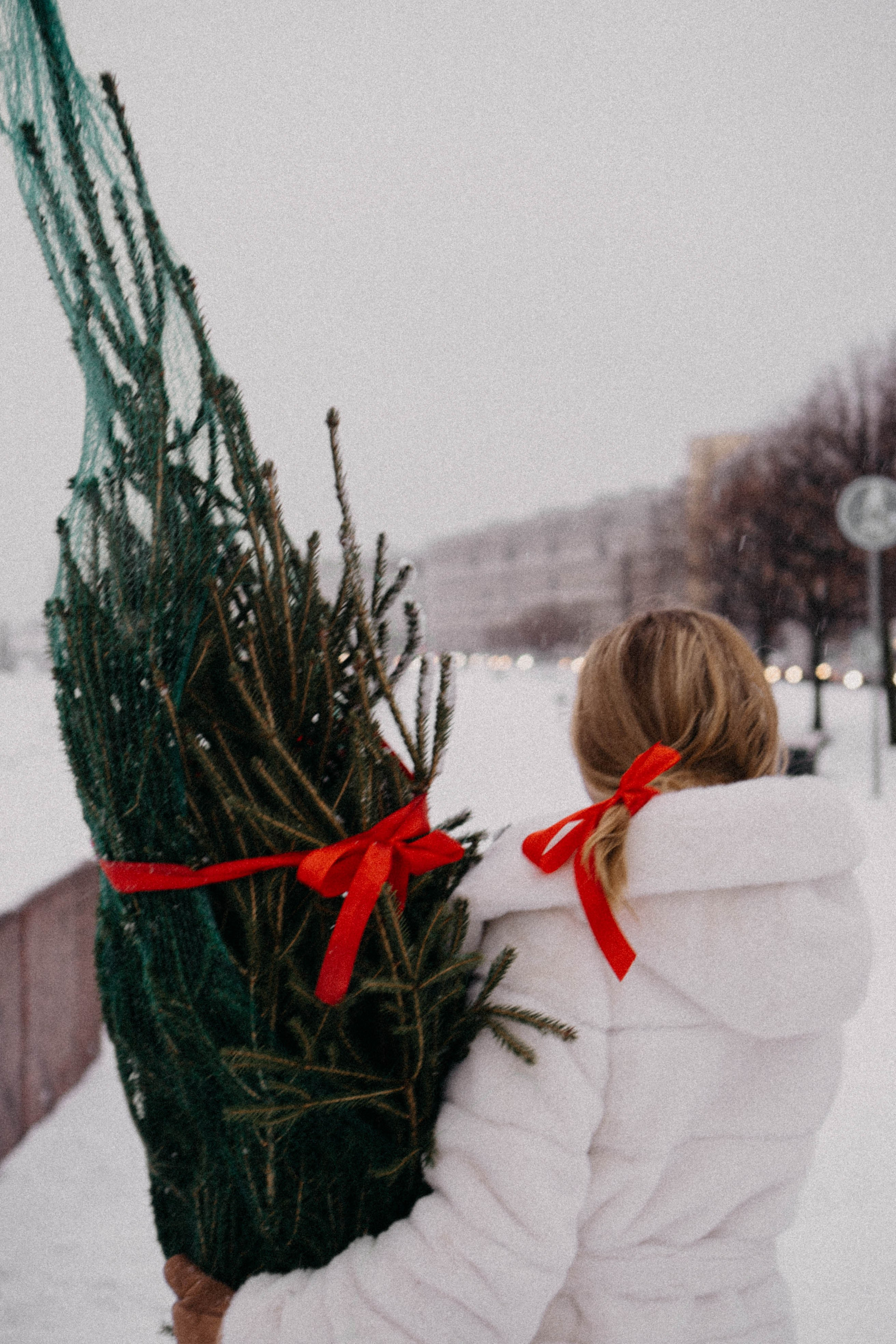 Новогодняя. Профессиональный фотограф, Санкт-Петербург — Виктория Богомолова