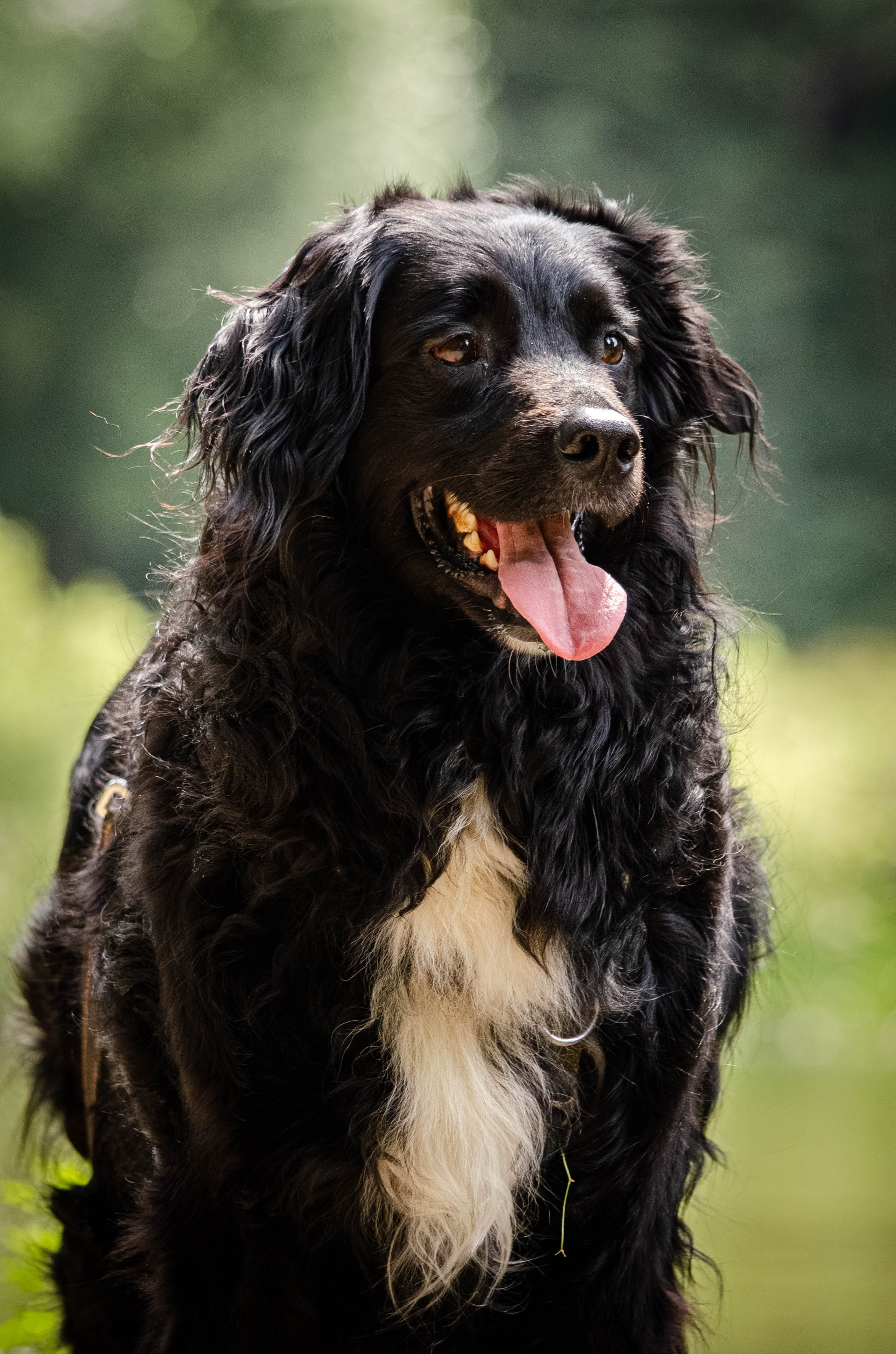 Том и Тося. Фотограф Светлана Блинова, Москва и Московская область