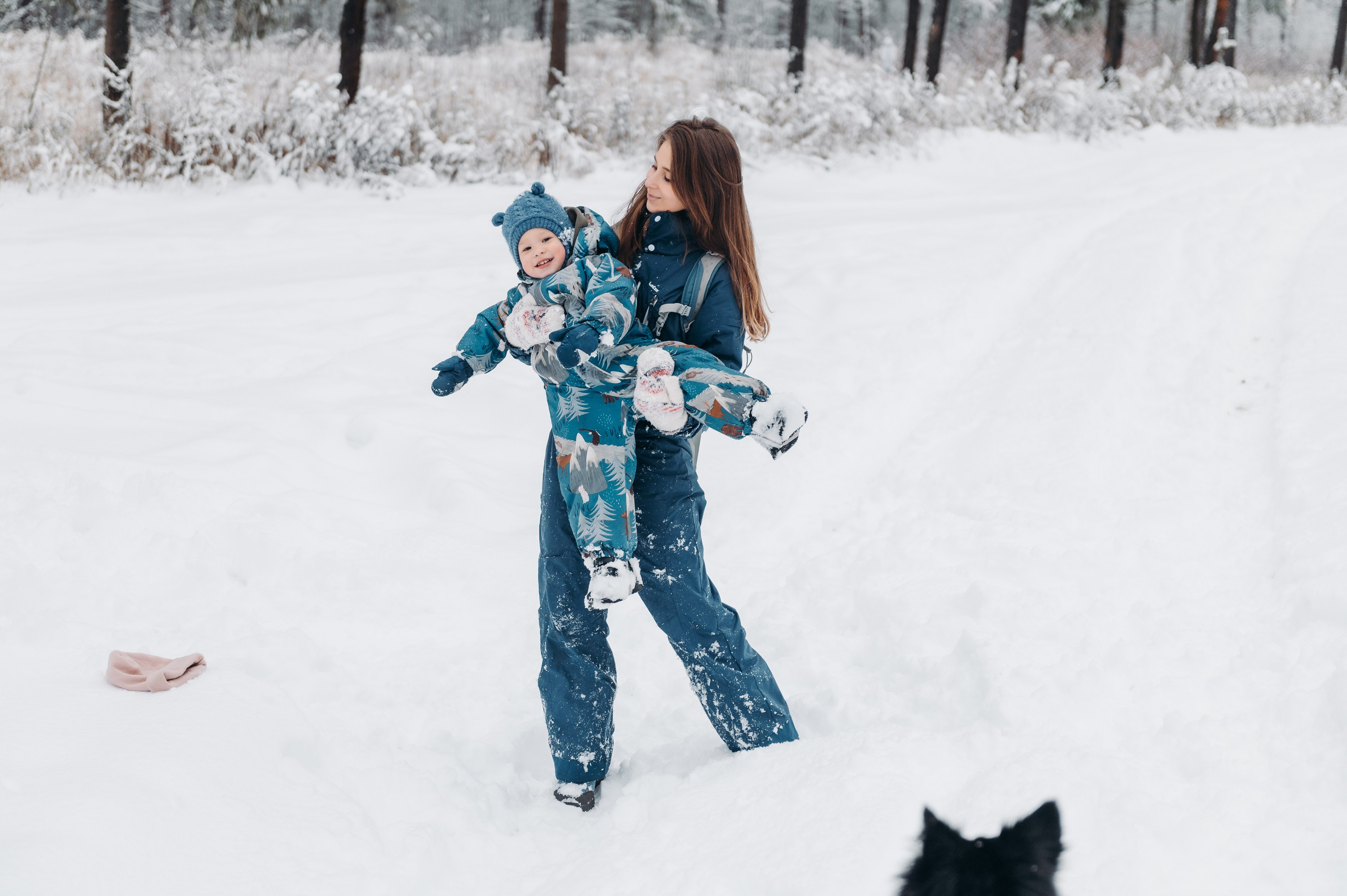 Снежная прогулка. Главная