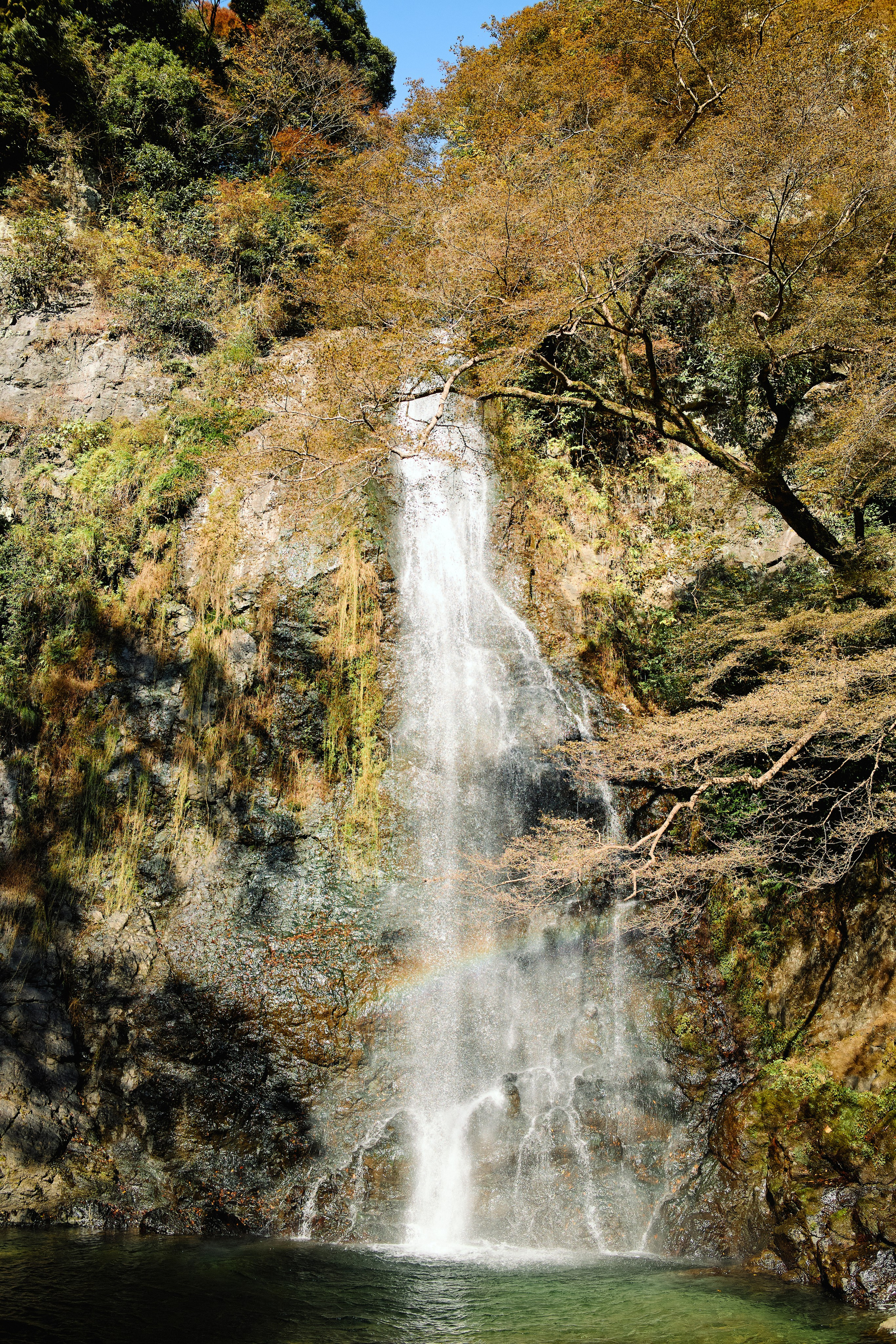 Япония. Профессиональный Фотограф во Владимире, в Москве и в Суздале — Полина Романычева