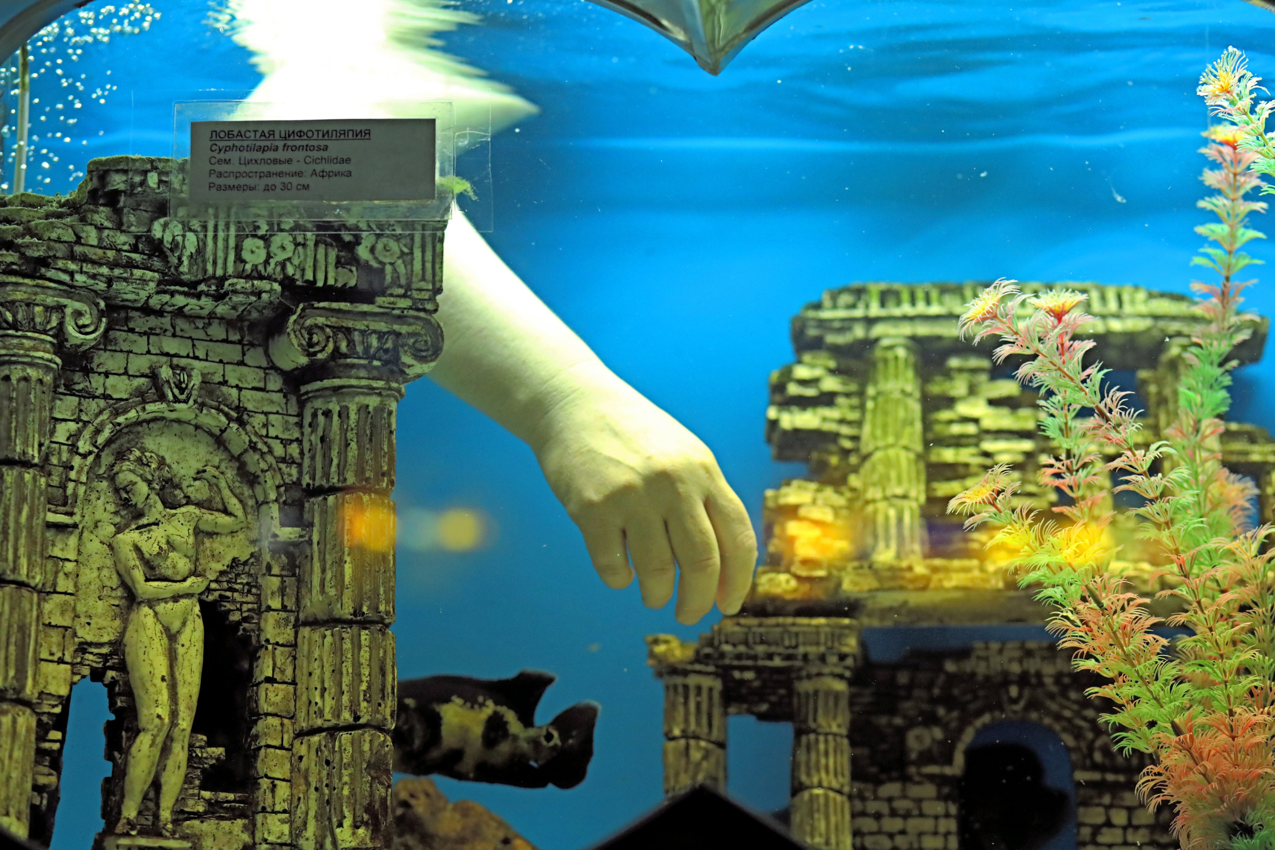 Ростовский зоопарк. Фото-художник и Репортажный фотограф Николаев Александр Алексеевич