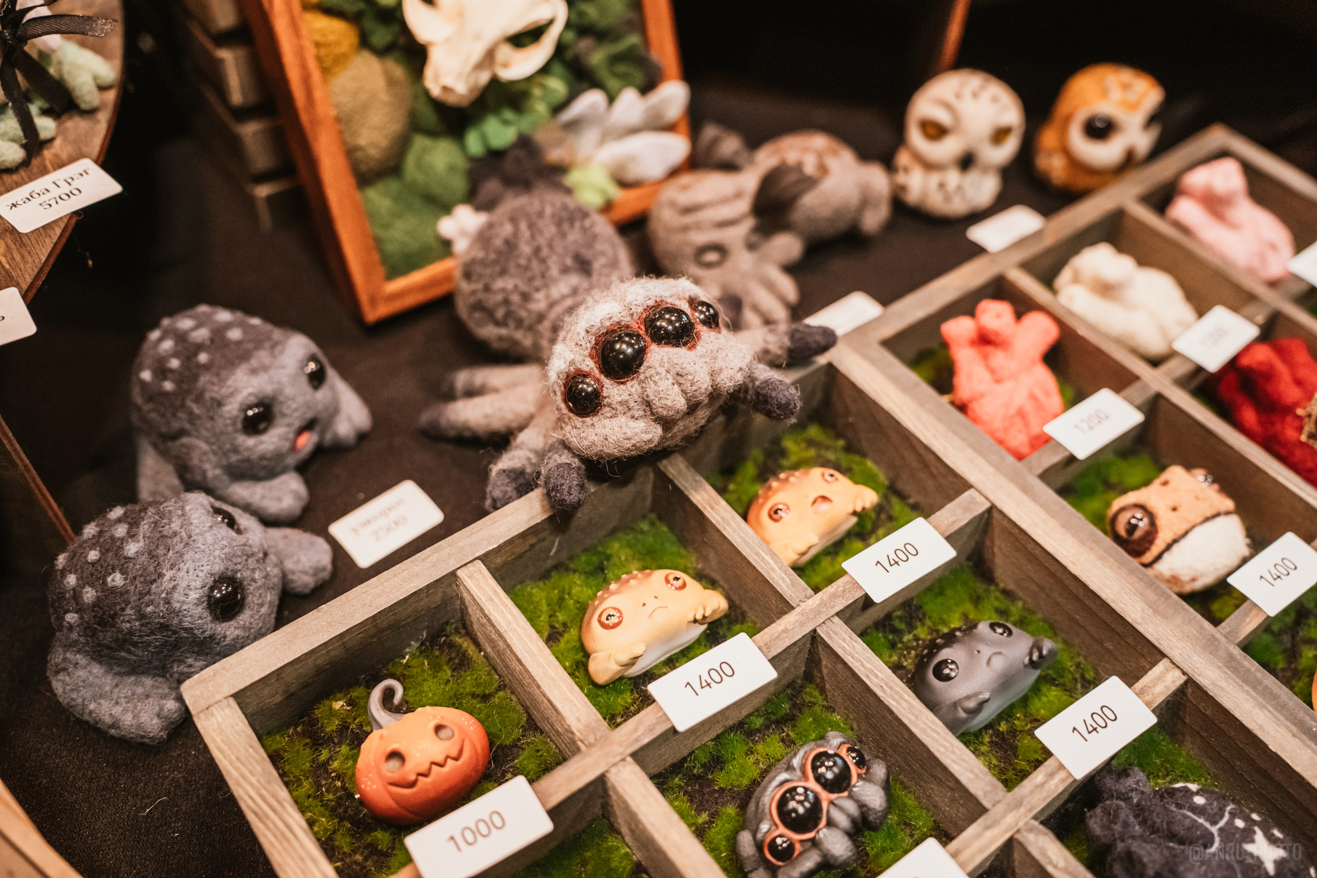 Рептилиум (ручная работа). Репортажный фотограф Анастасия Рубцова