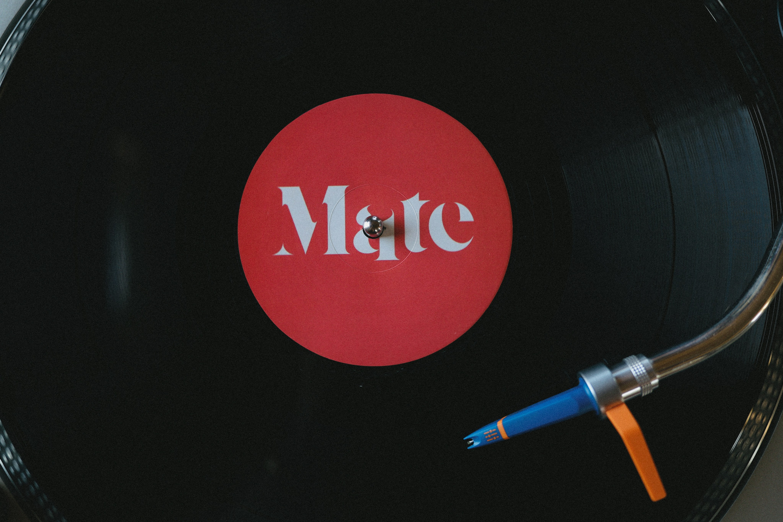 Mira в ГЭС. Фотограф во Владимире, Москве и Суздале — Полина Романычева