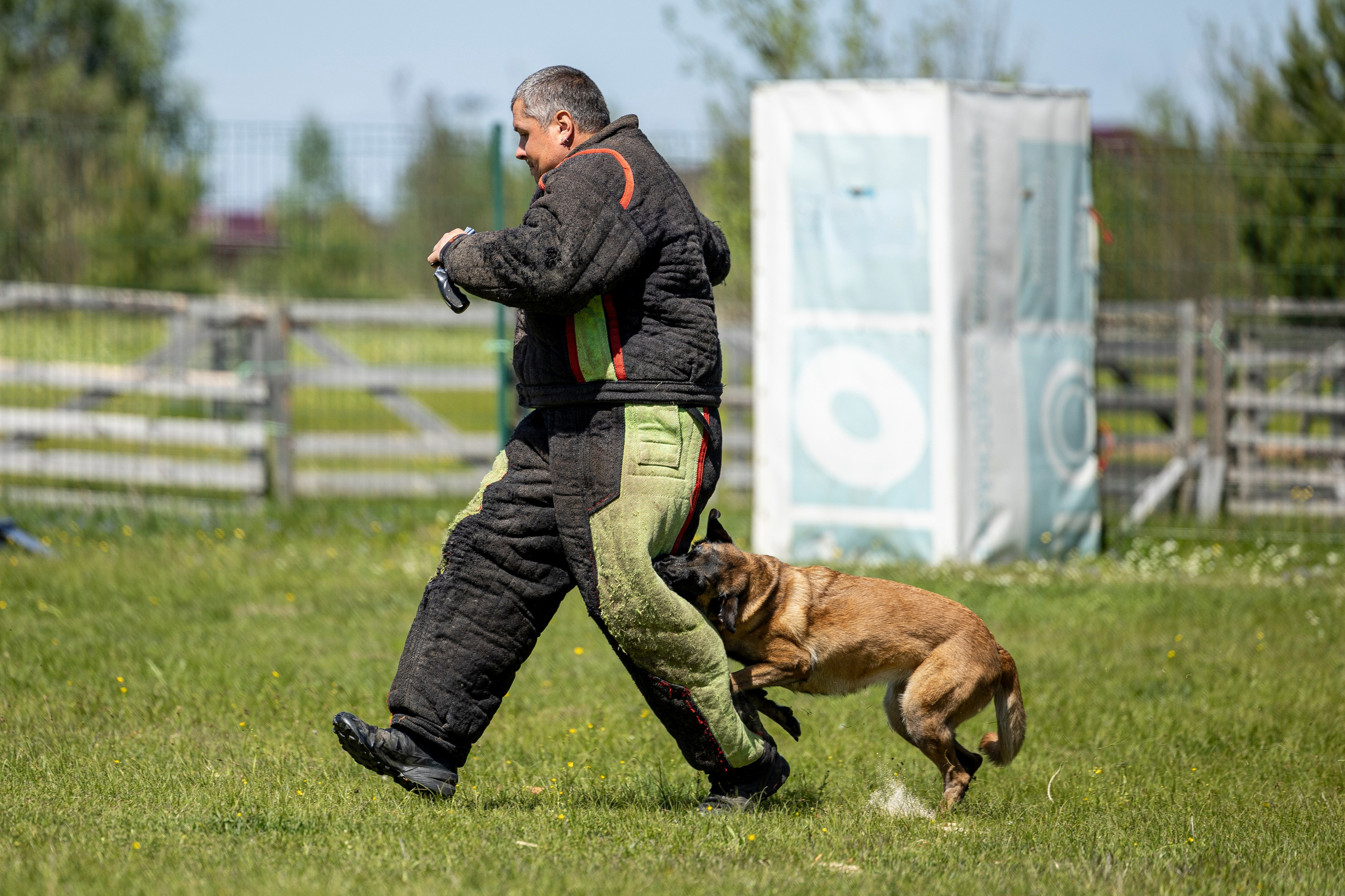 Испытания по мондьорингу в Нижнем Новгороде. Фотограф-анималист Анна Маринич