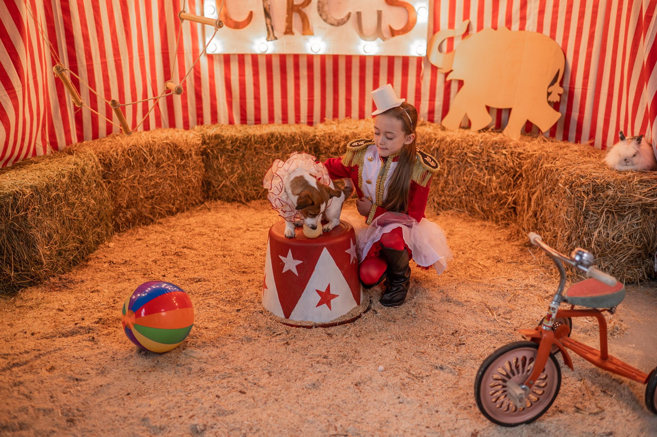 ШАПИТО БЕЗ РЕТУШИ. Семейный фотограф Екатеринбург Лора Мур