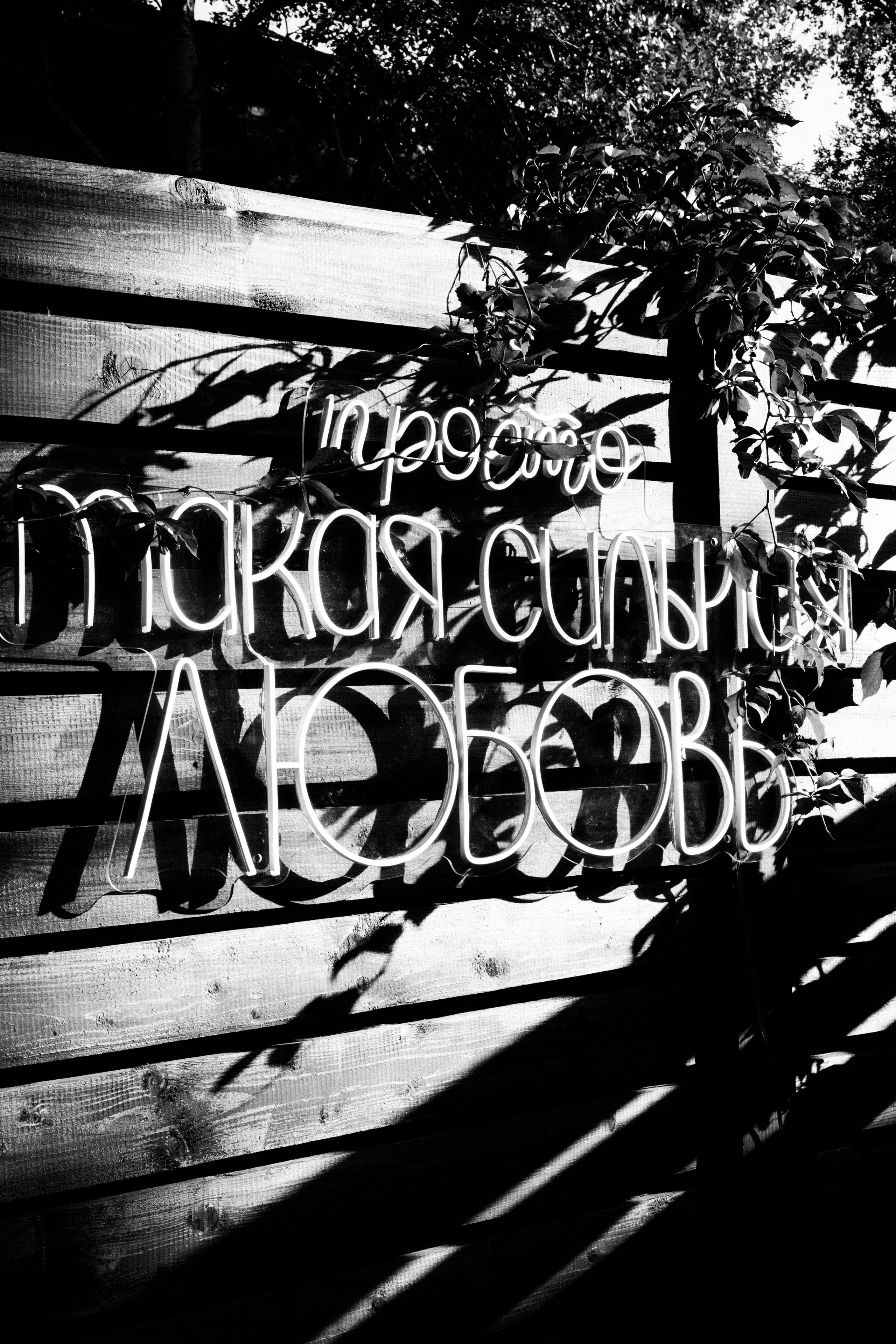 Просто такая сильная любовь. Главная