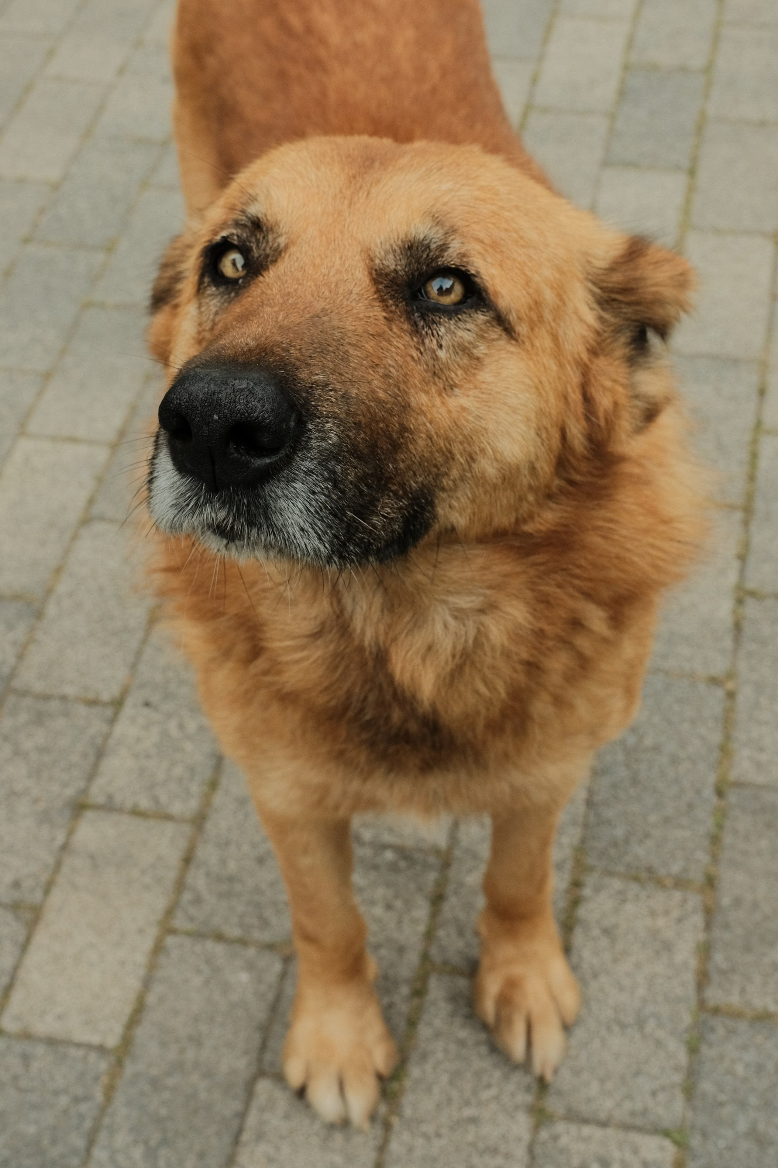 Abkhazia. Creative travel photographer — Berg Daria