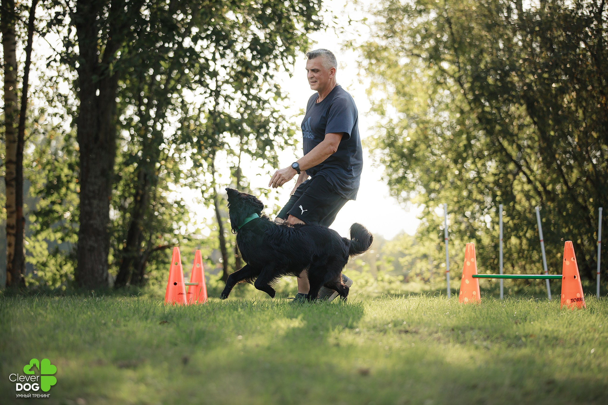 Кинологический лагерь CleverDog, 2024. Фотограф-анималист Mary Mart — Москва, Питер
