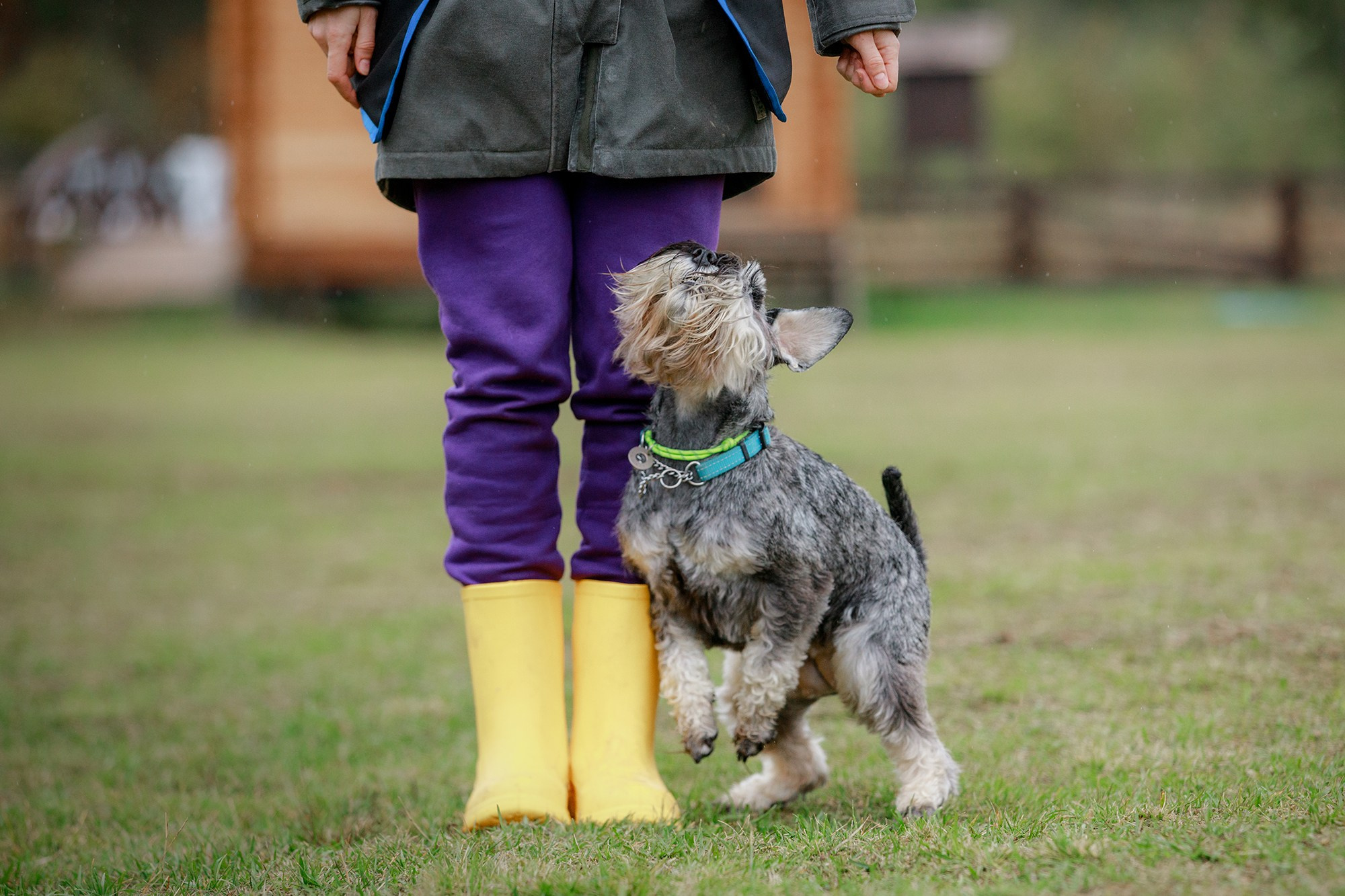 Лагерь по ОБД с Инной Баженовой. Фотограф-анималист Mary Mart — Москва, Питер