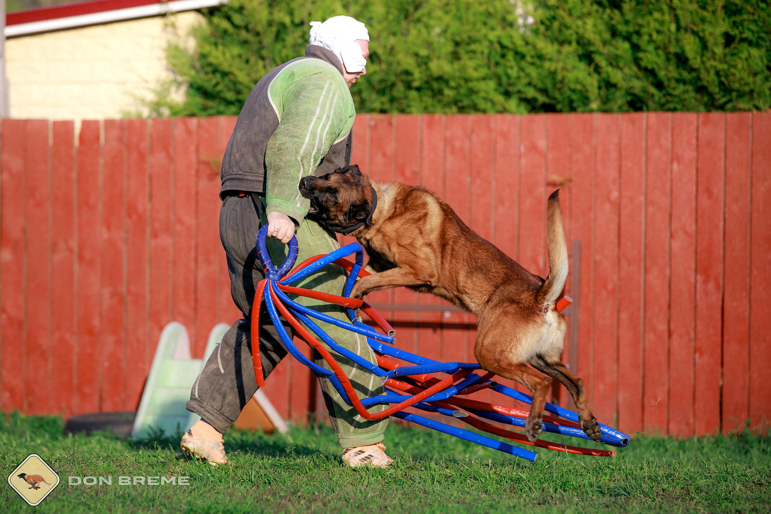 Семинар для фигурантов, день 4. Фотограф-анималист Mary Mart — Москва, Питер